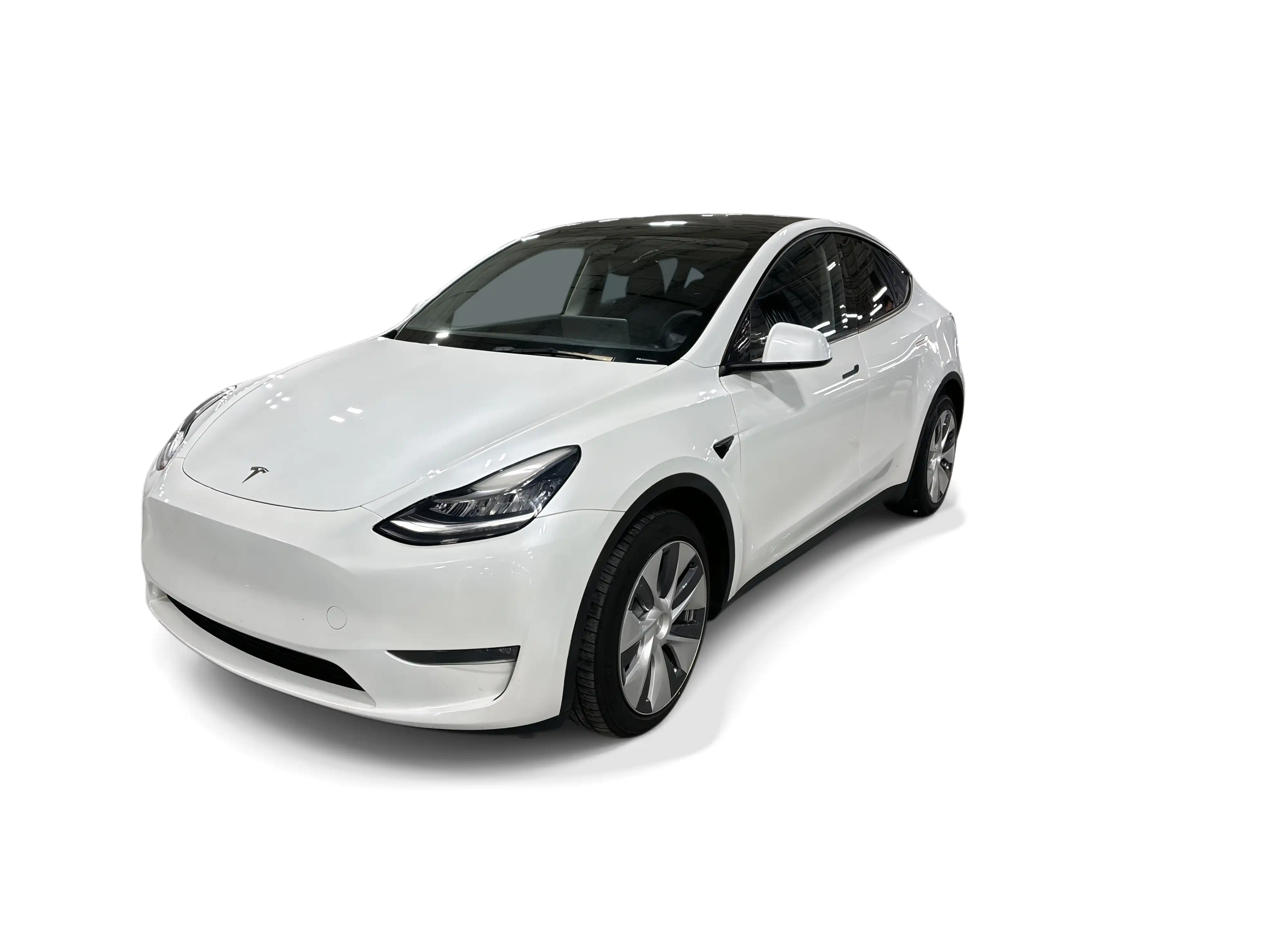 2023 Tesla Model Y Long Range Dual Motor All-Wheel Drive's photo