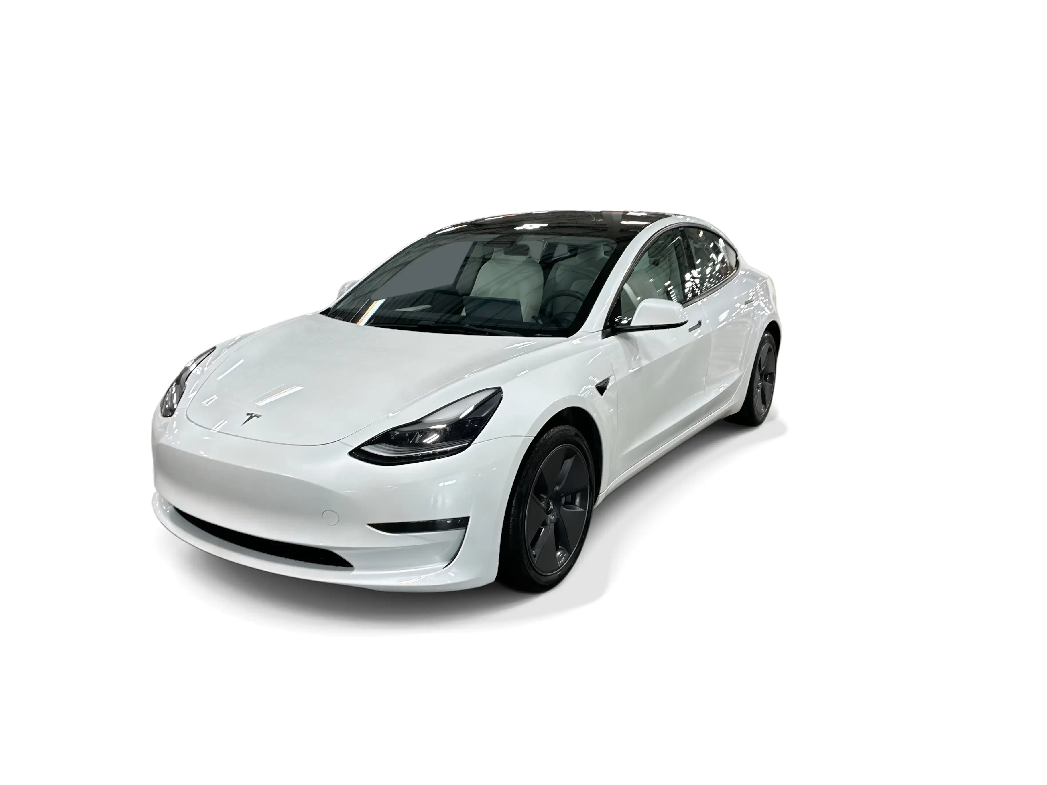 2023 Tesla Model 3 Base's photo