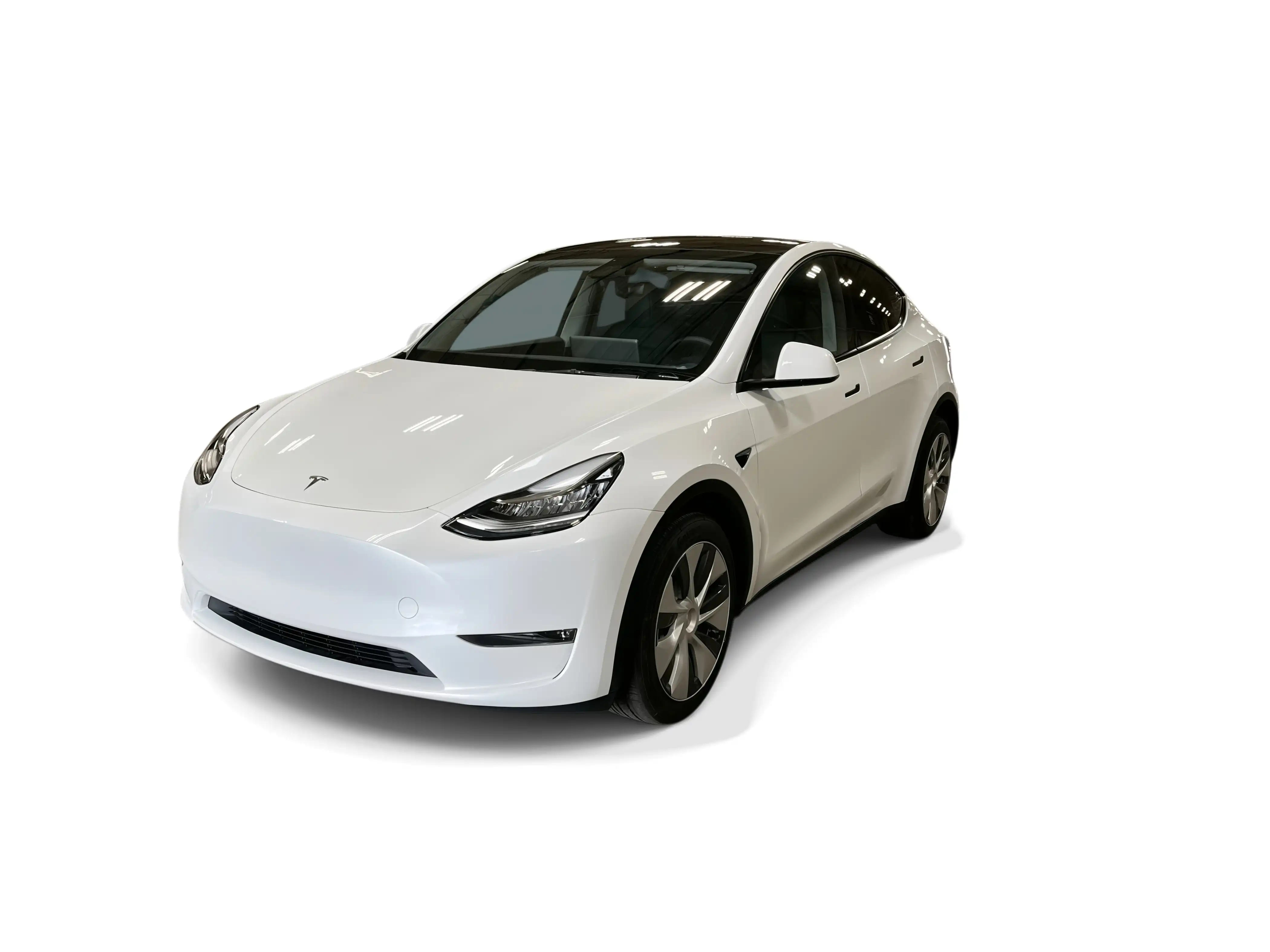 2023 Tesla Model Y Long Range Dual Motor All-Wheel Drive's photo