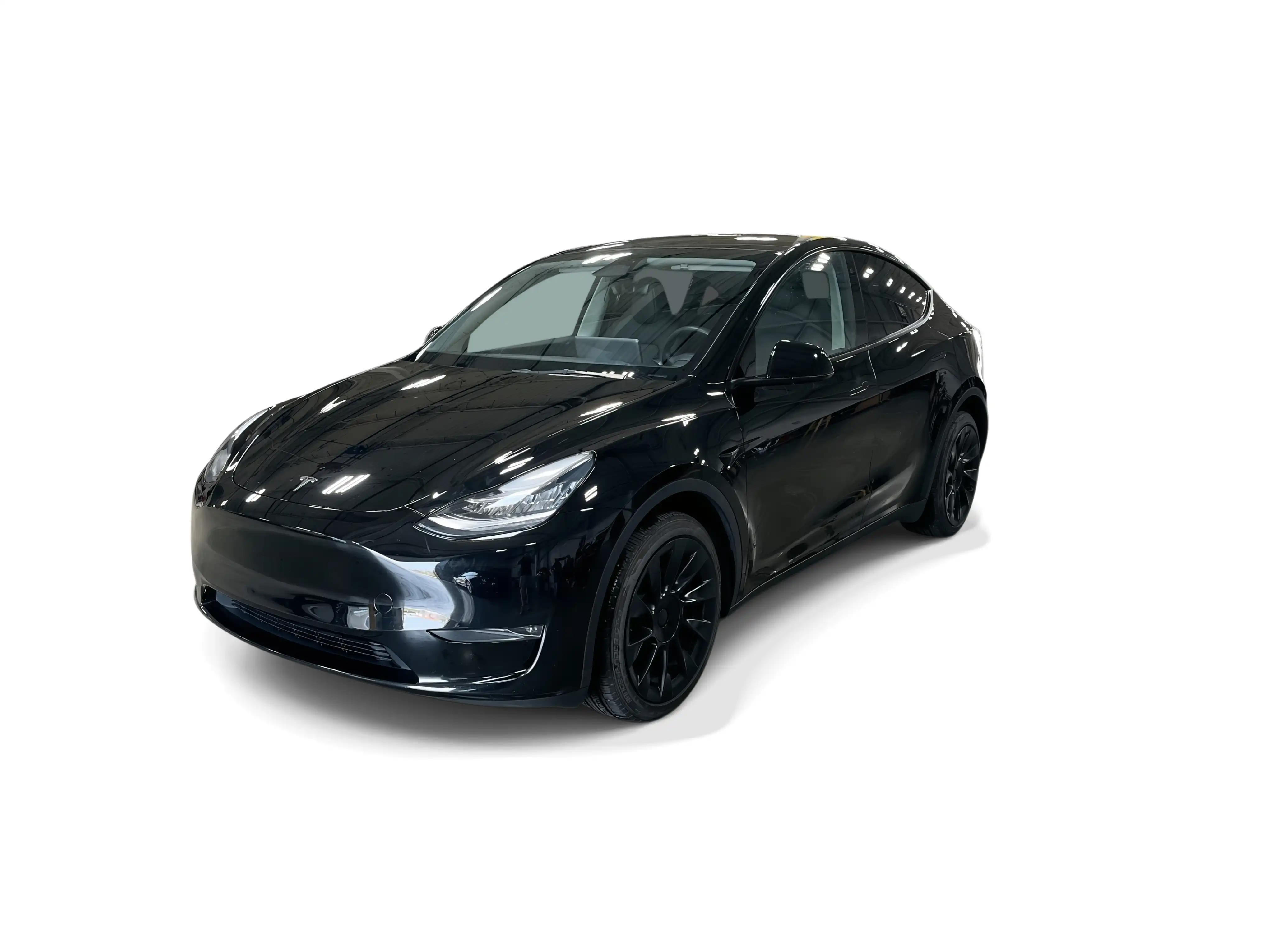 2023 Tesla Model Y Long Range Dual Motor All-Wheel Drive's photo