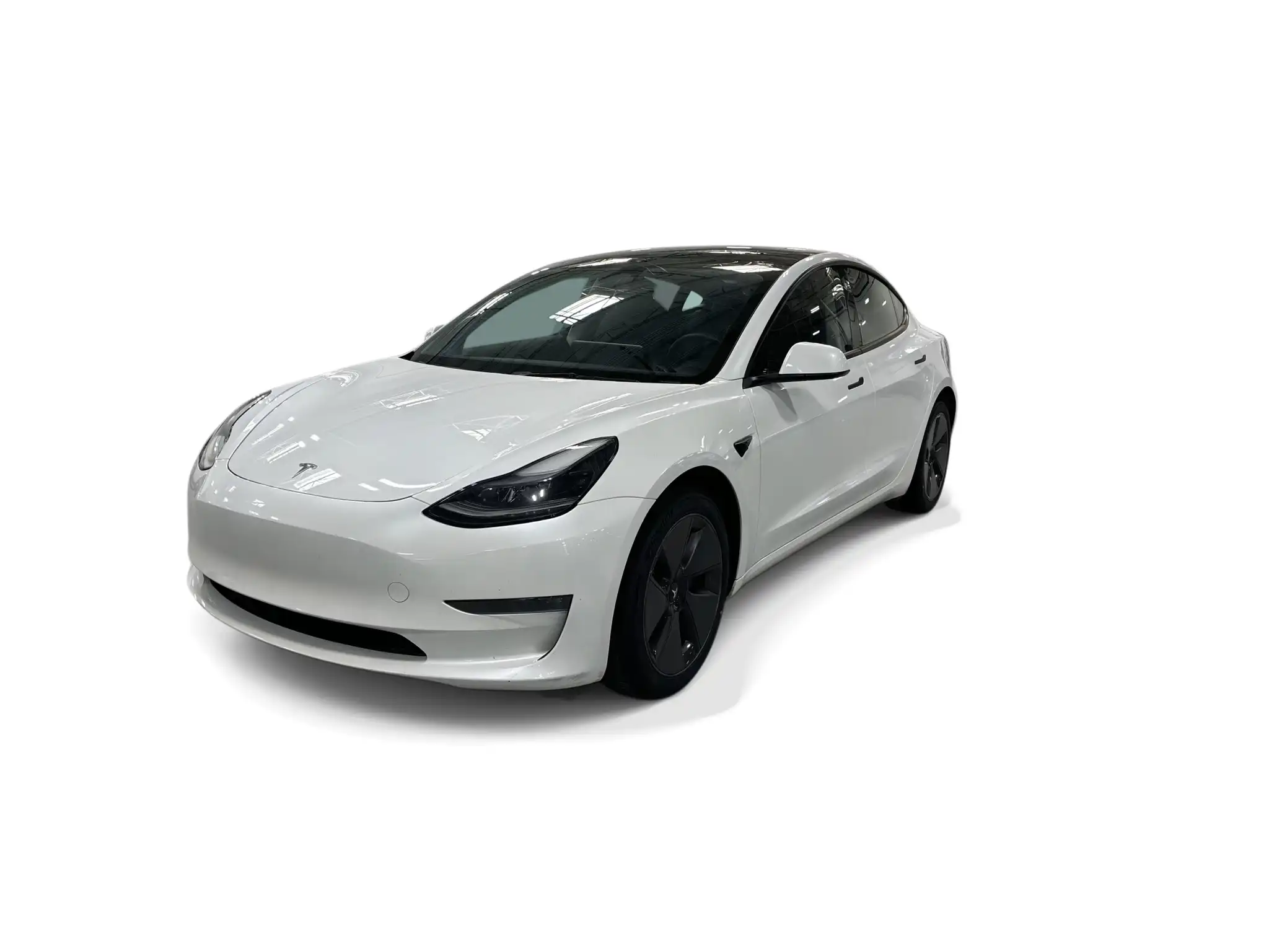 2023 Tesla Model 3 Base's photo