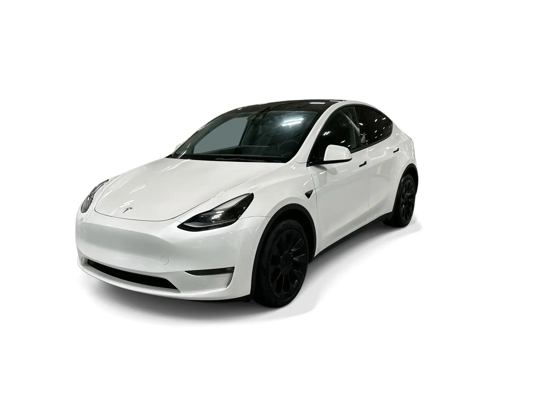 2023 Tesla Model Y Long Range Dual Motor All-Wheel Drive's photo