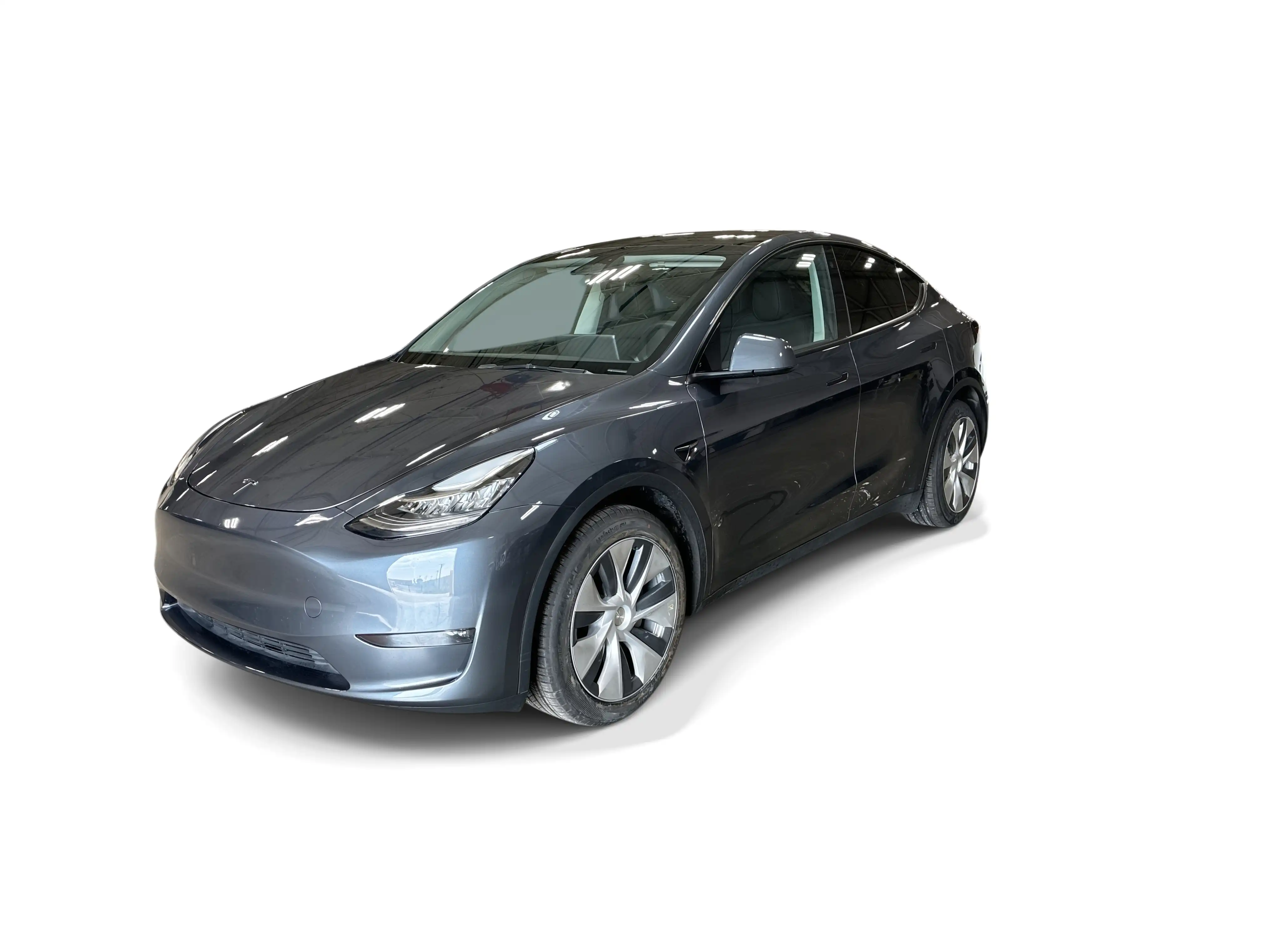 2023 Tesla Model Y Long Range Dual Motor All-Wheel Drive's photo