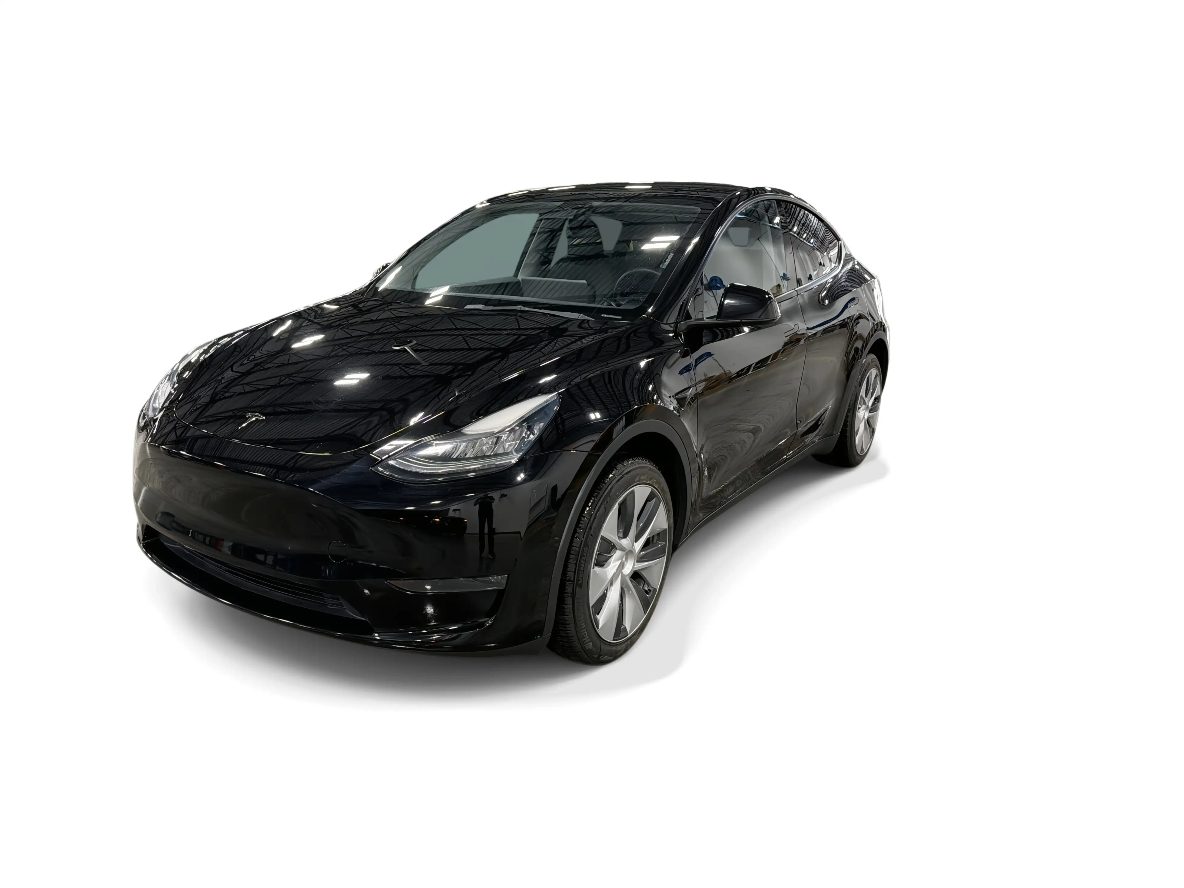 2023 Tesla Model Y Long Range Dual Motor All-Wheel Drive's photo
