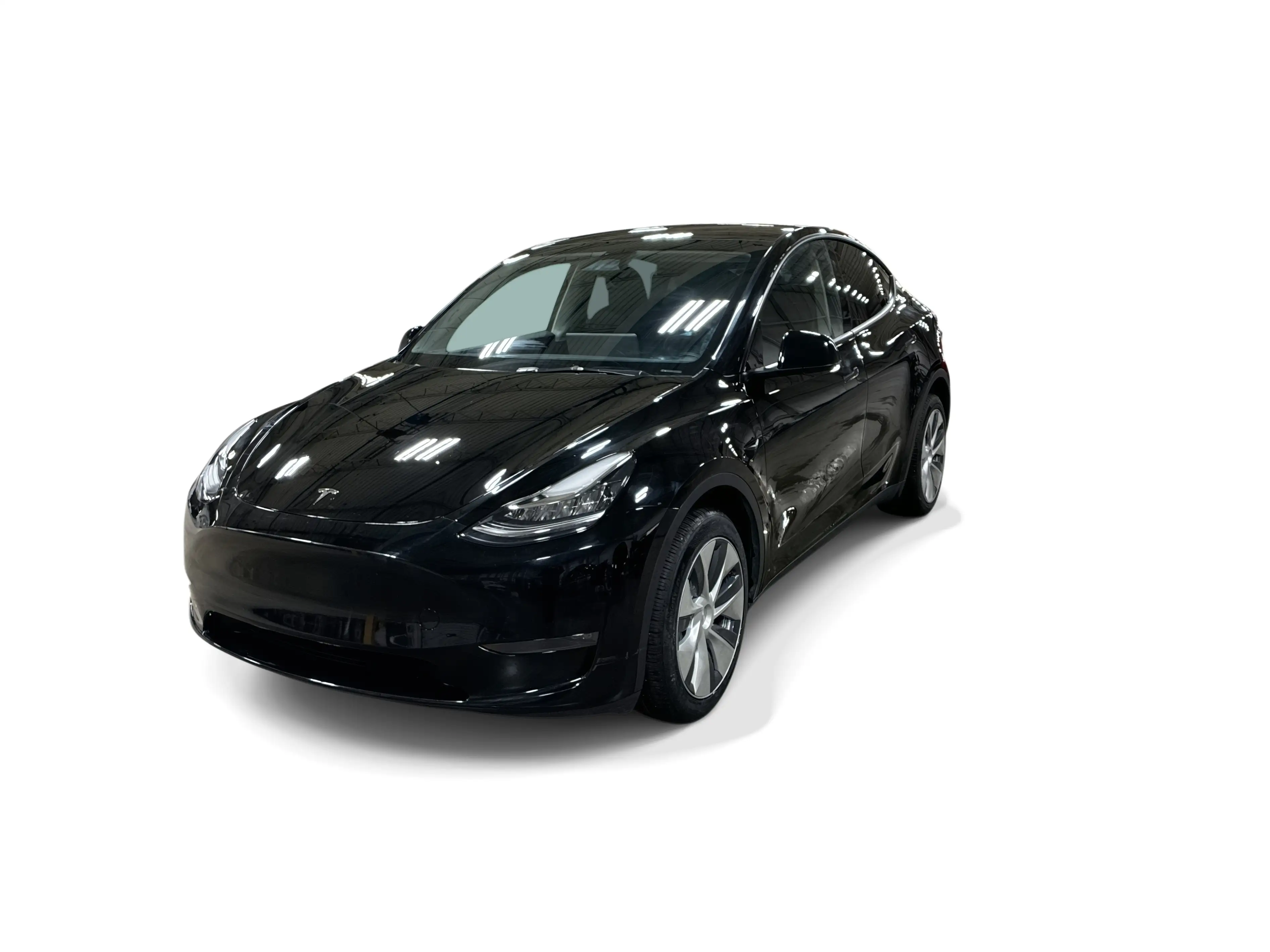 2023 Tesla Model Y Long Range Dual Motor All-Wheel Drive's photo