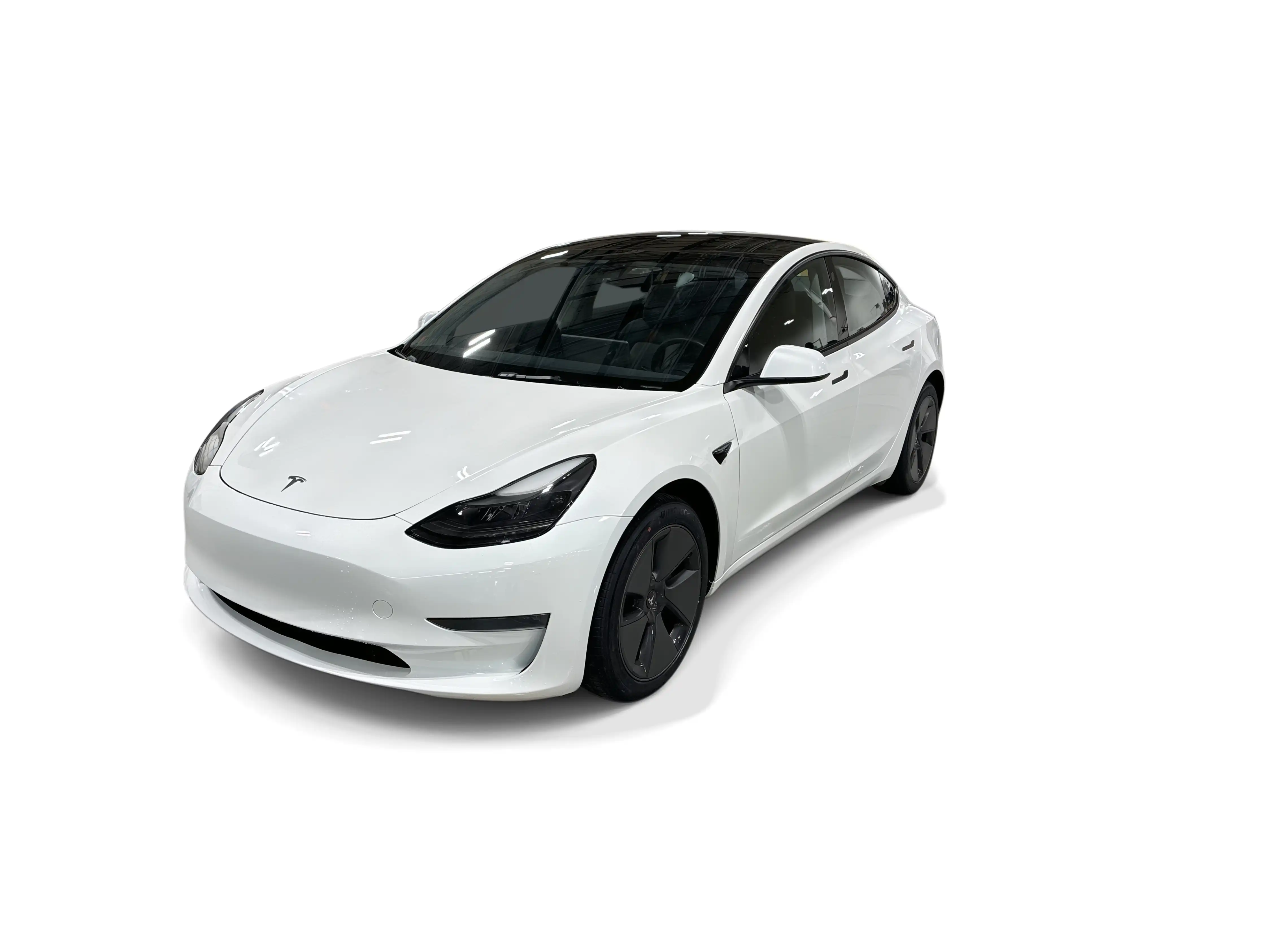 2023 Tesla Model 3 Base's photo