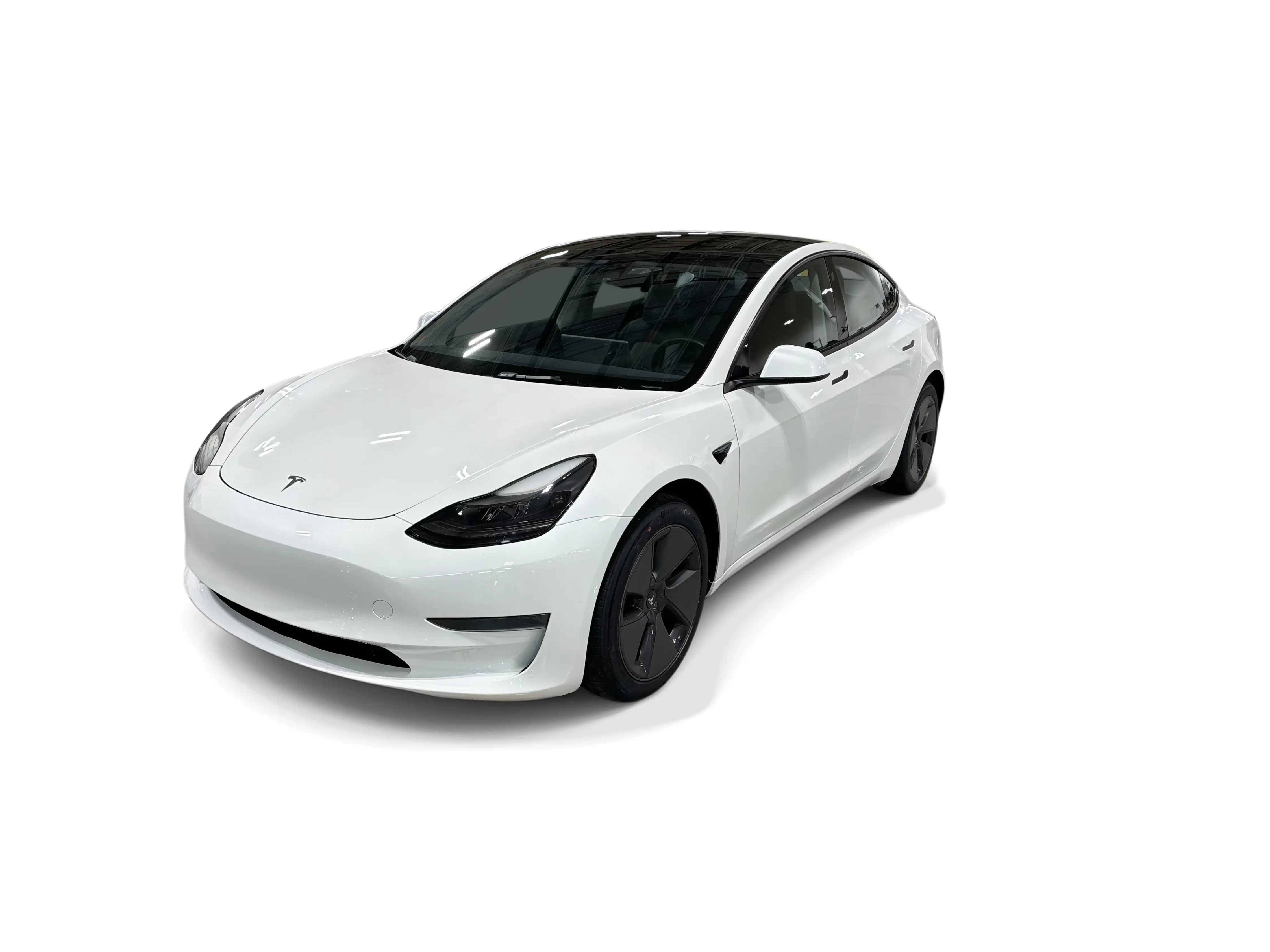 2023 Tesla Model 3 Base's photo