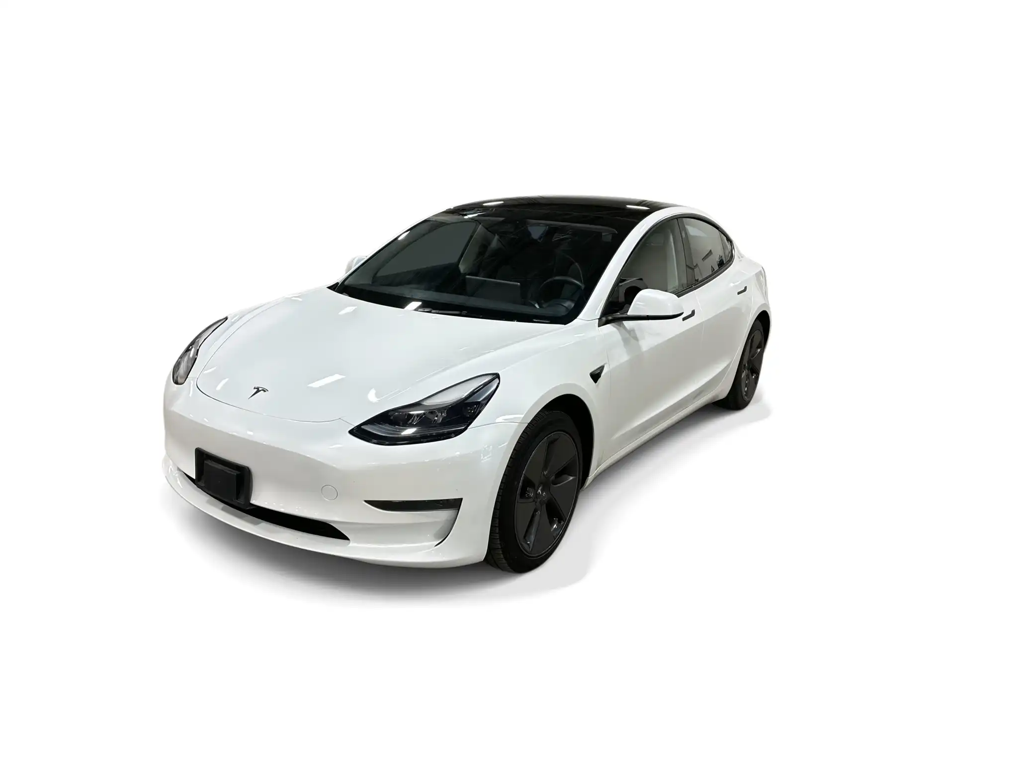 2023 Tesla Model 3 Base's photo