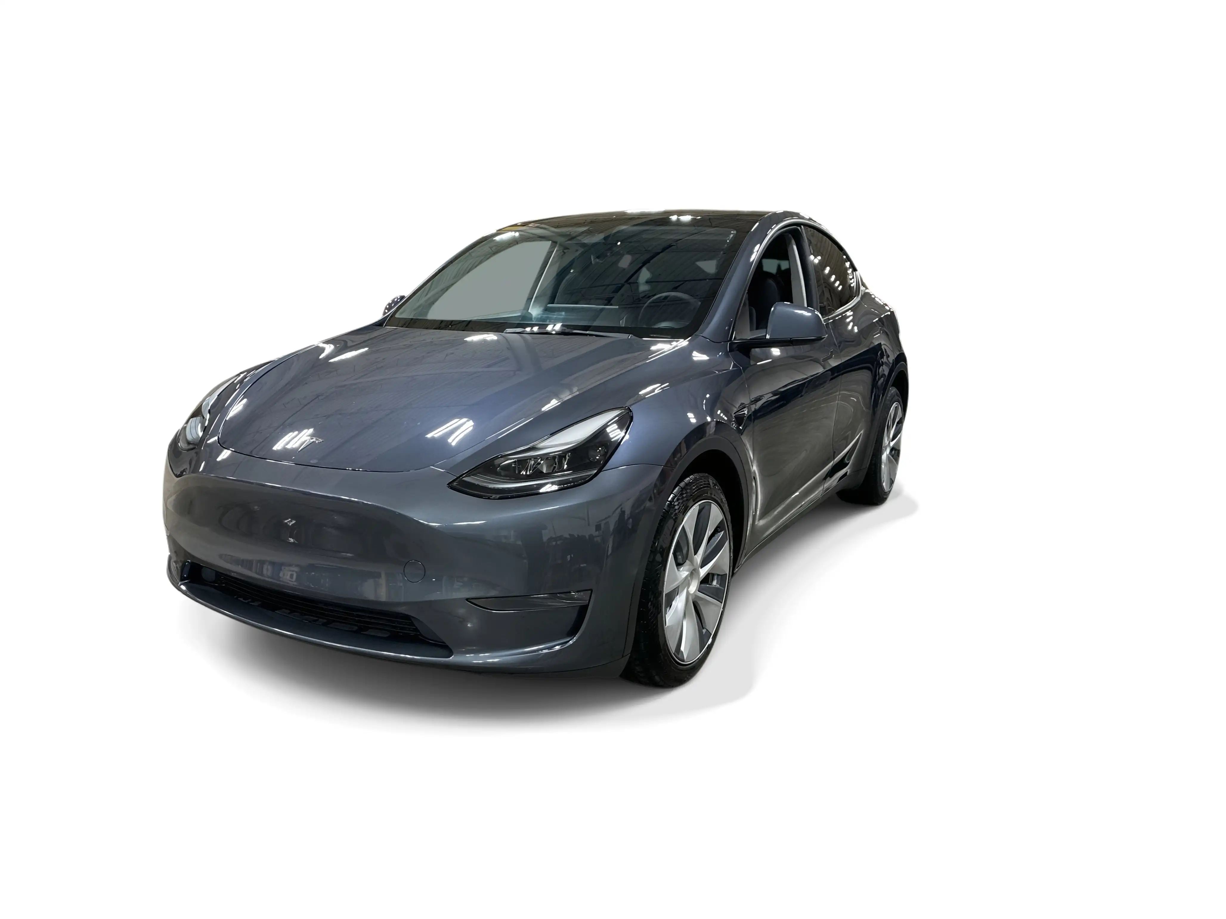 2023 Tesla Model Y's photo
