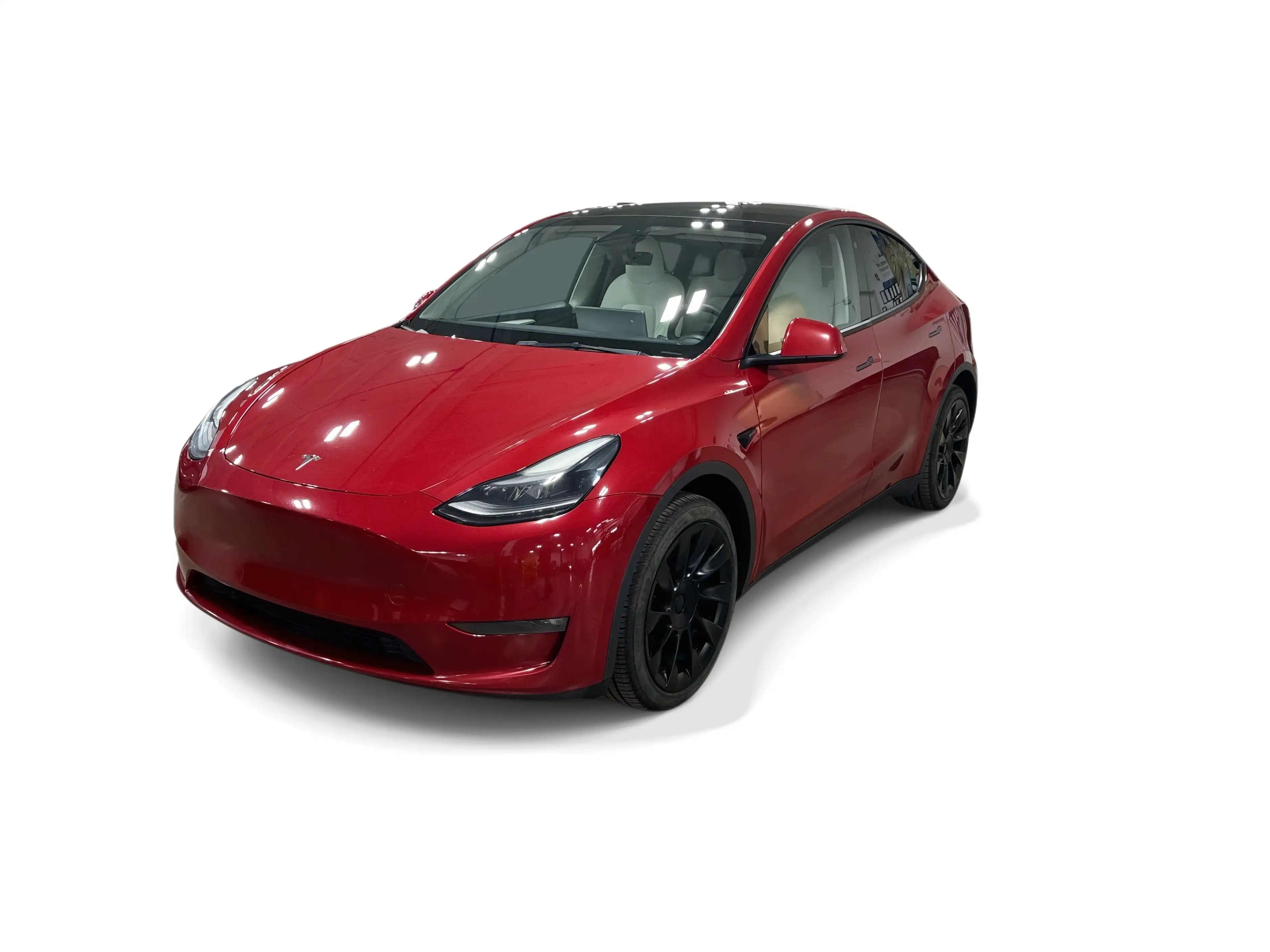 2023 Tesla Model Y Long Range Dual Motor All-Wheel Drive's photo