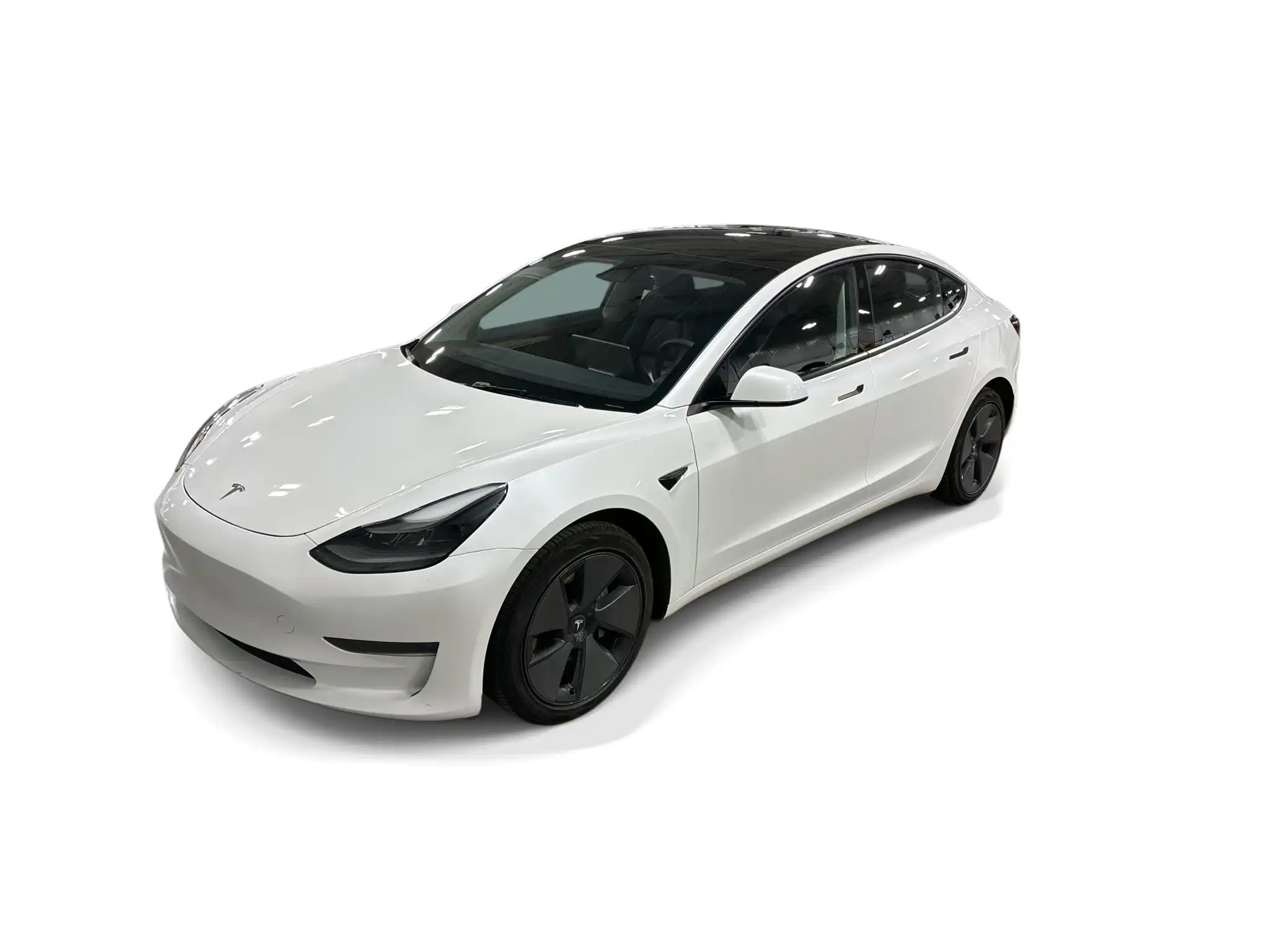 2023 Tesla Model 3 Base's photo