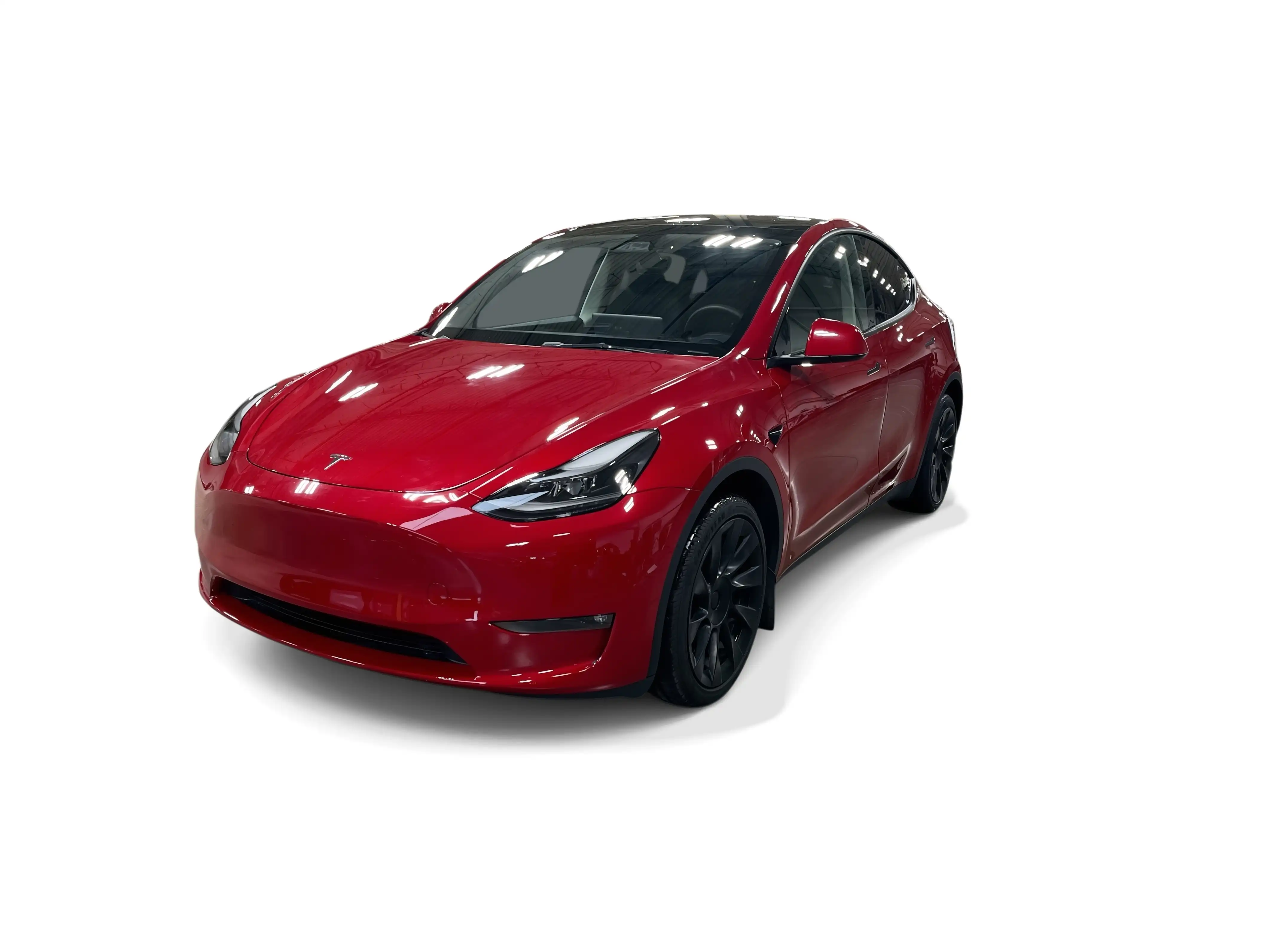 2023 Tesla Model Y Long Range Dual Motor All-Wheel Drive's photo