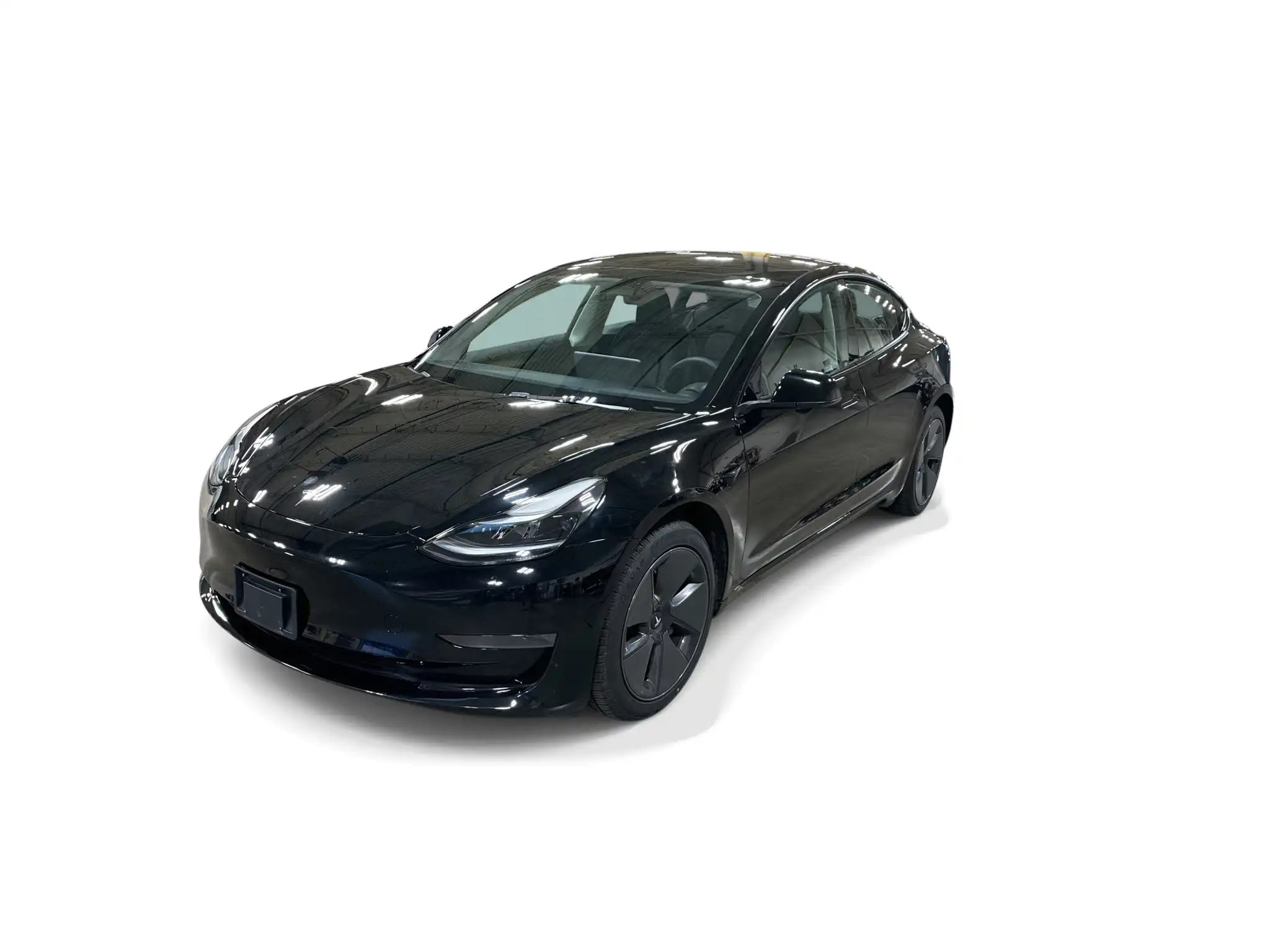 2023 Tesla Model 3 Base's photo