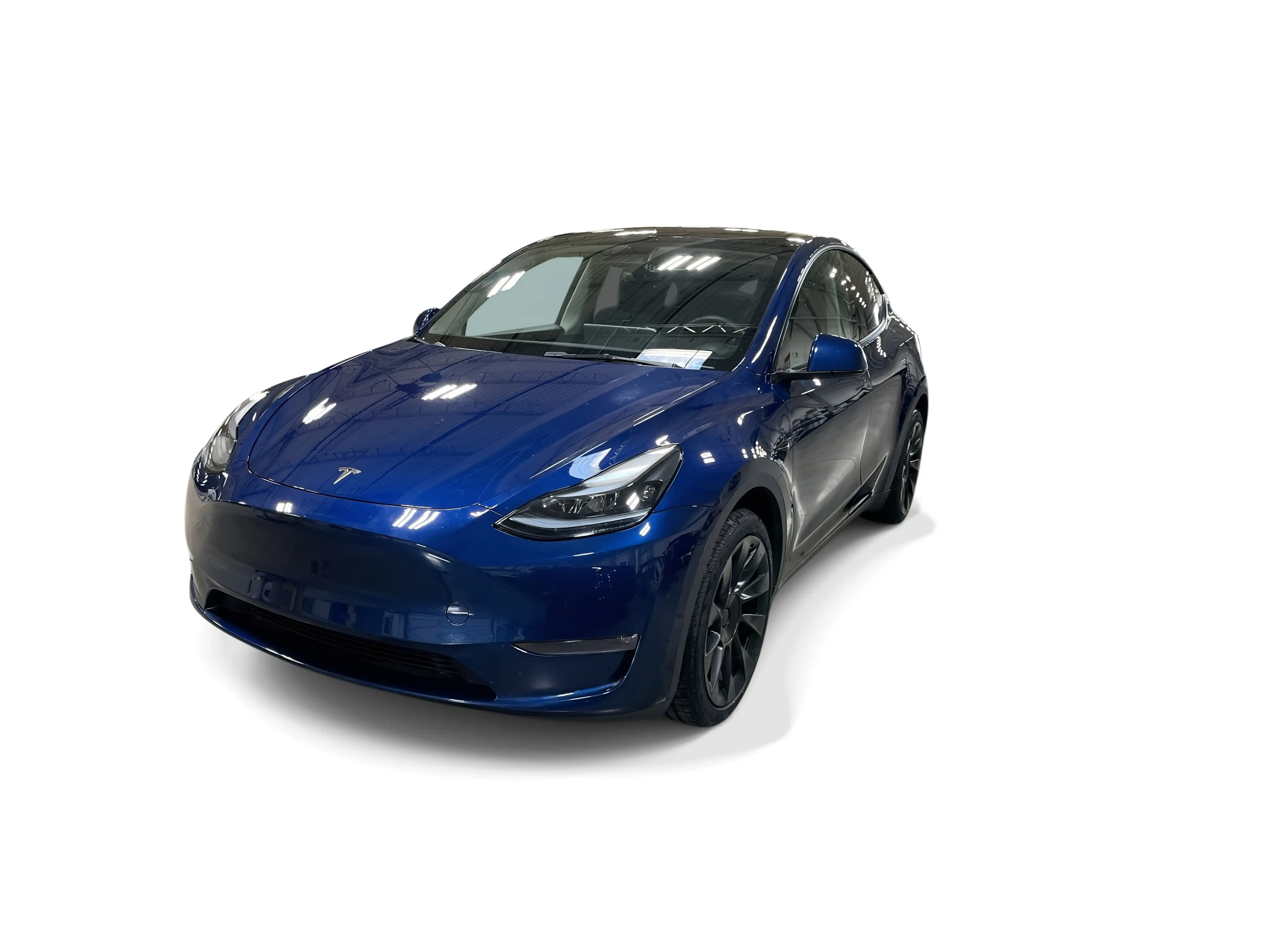 2023 Tesla Model Y Long Range Dual Motor All-Wheel Drive's photo