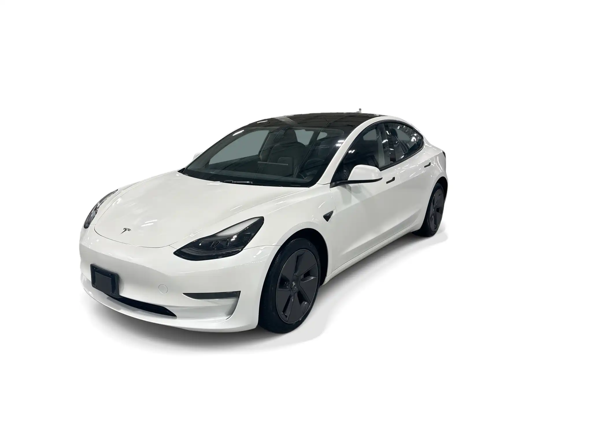 2023 Tesla Model 3 Base's photo