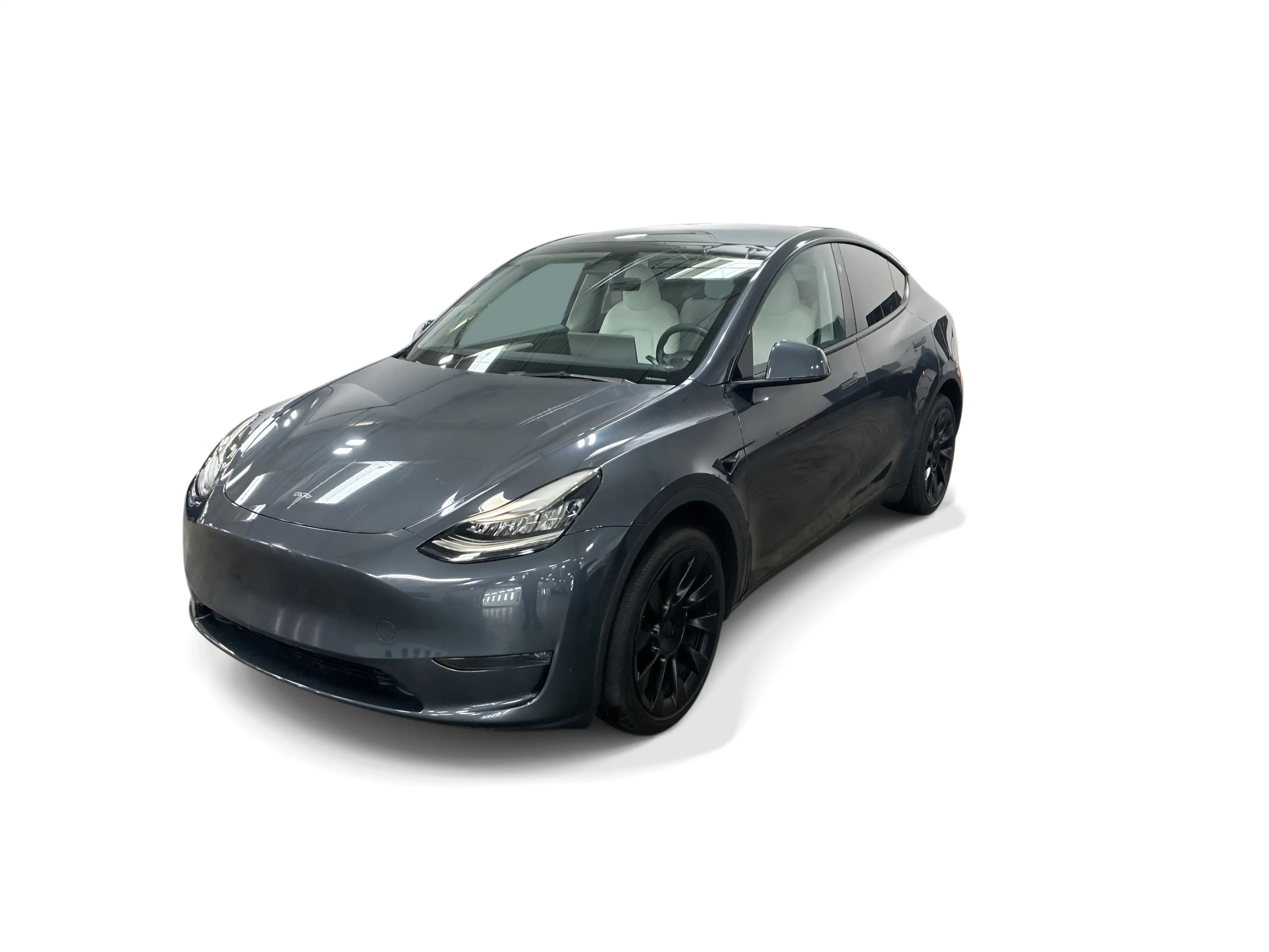 2023 Tesla Model Y Long Range Dual Motor All-Wheel Drive's photo