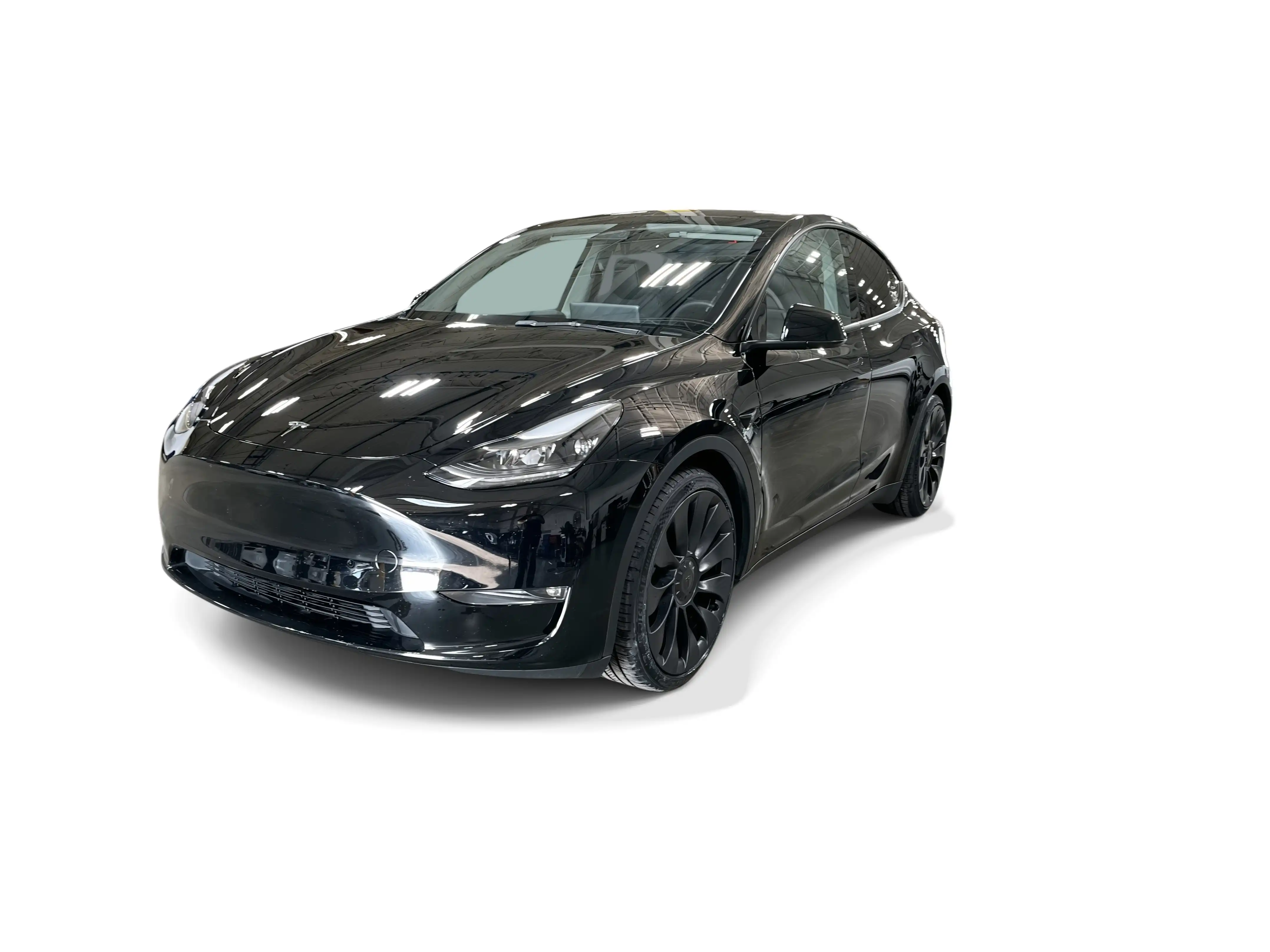 2023 Tesla Model Y Performance Dual Motor All-Wheel Drive's photo