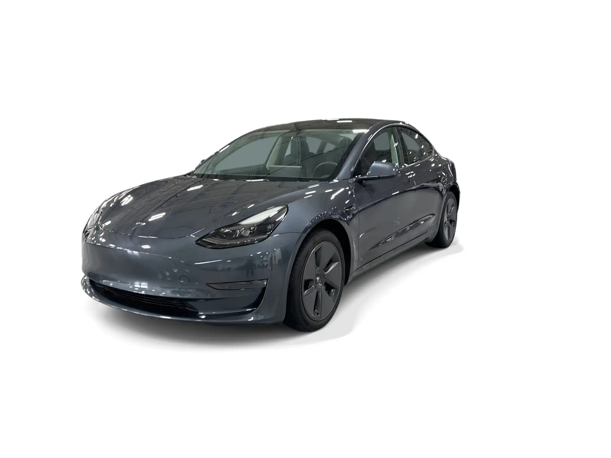2023 Tesla Model 3 Base's photo