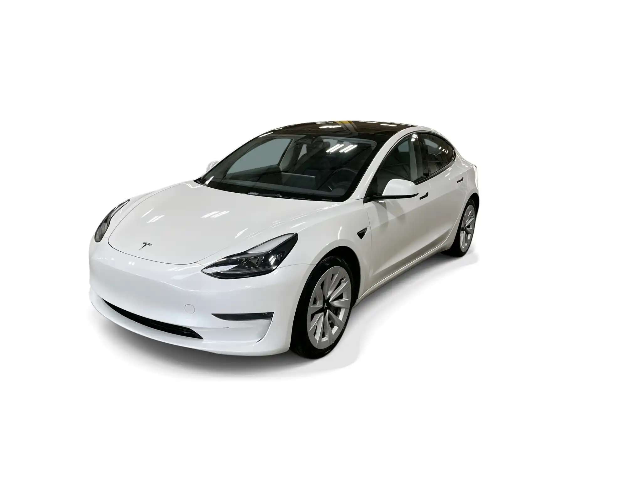 2023 Tesla Model 3 Base's photo