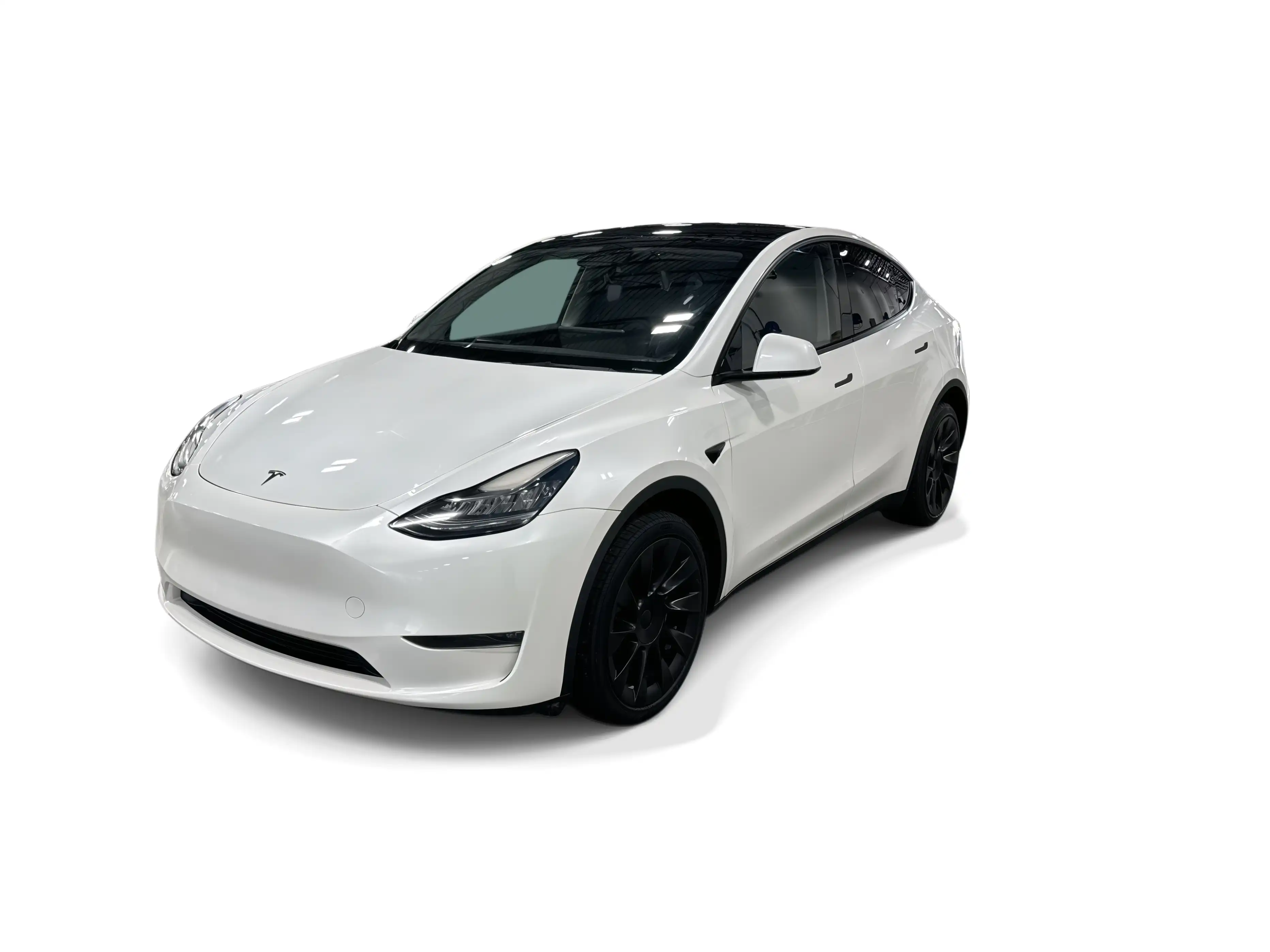 2023 Tesla Model Y Long Range Dual Motor All-Wheel Drive's photo