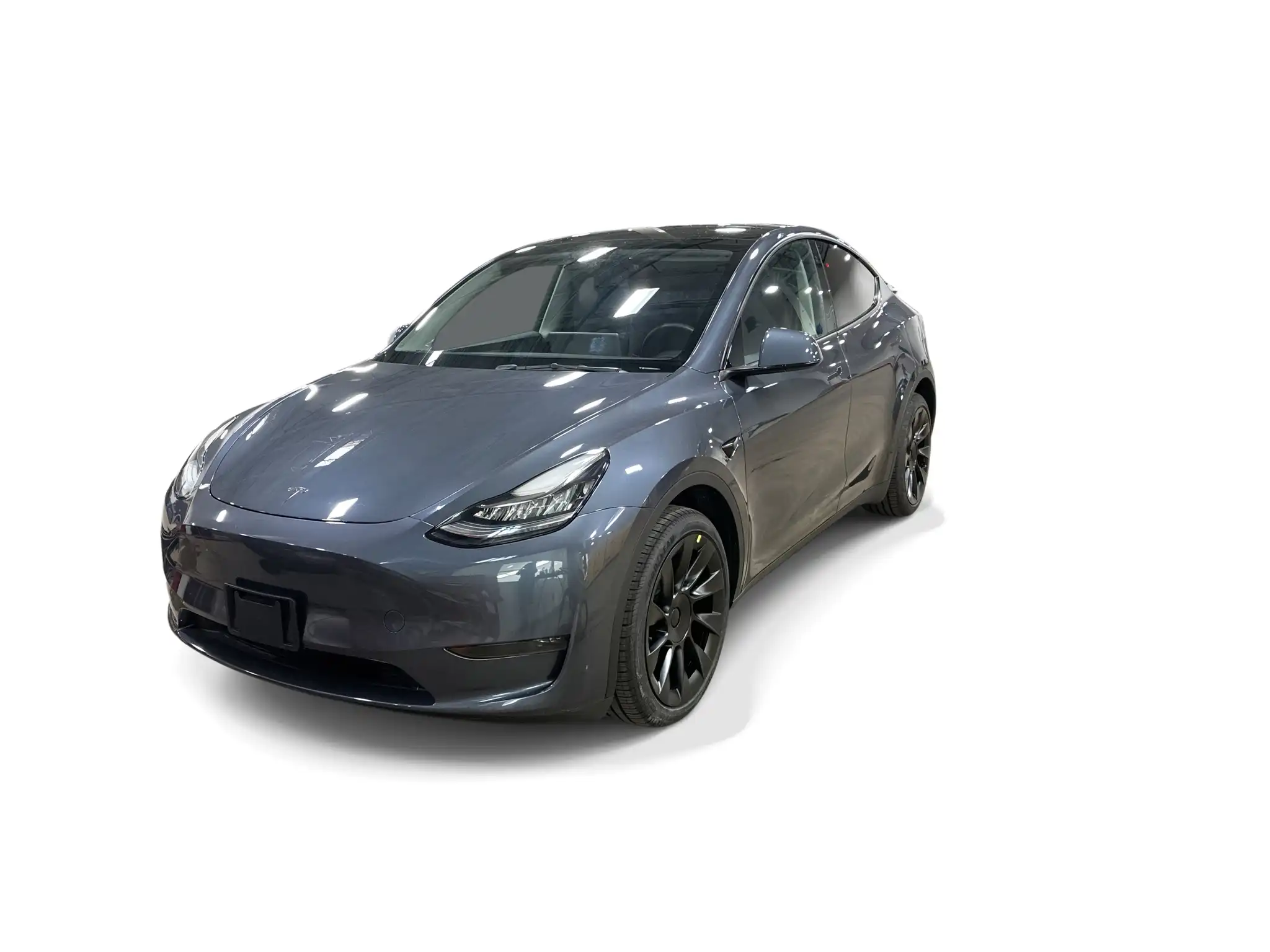 2023 Tesla Model Y Long Range Dual Motor All-Wheel Drive's photo