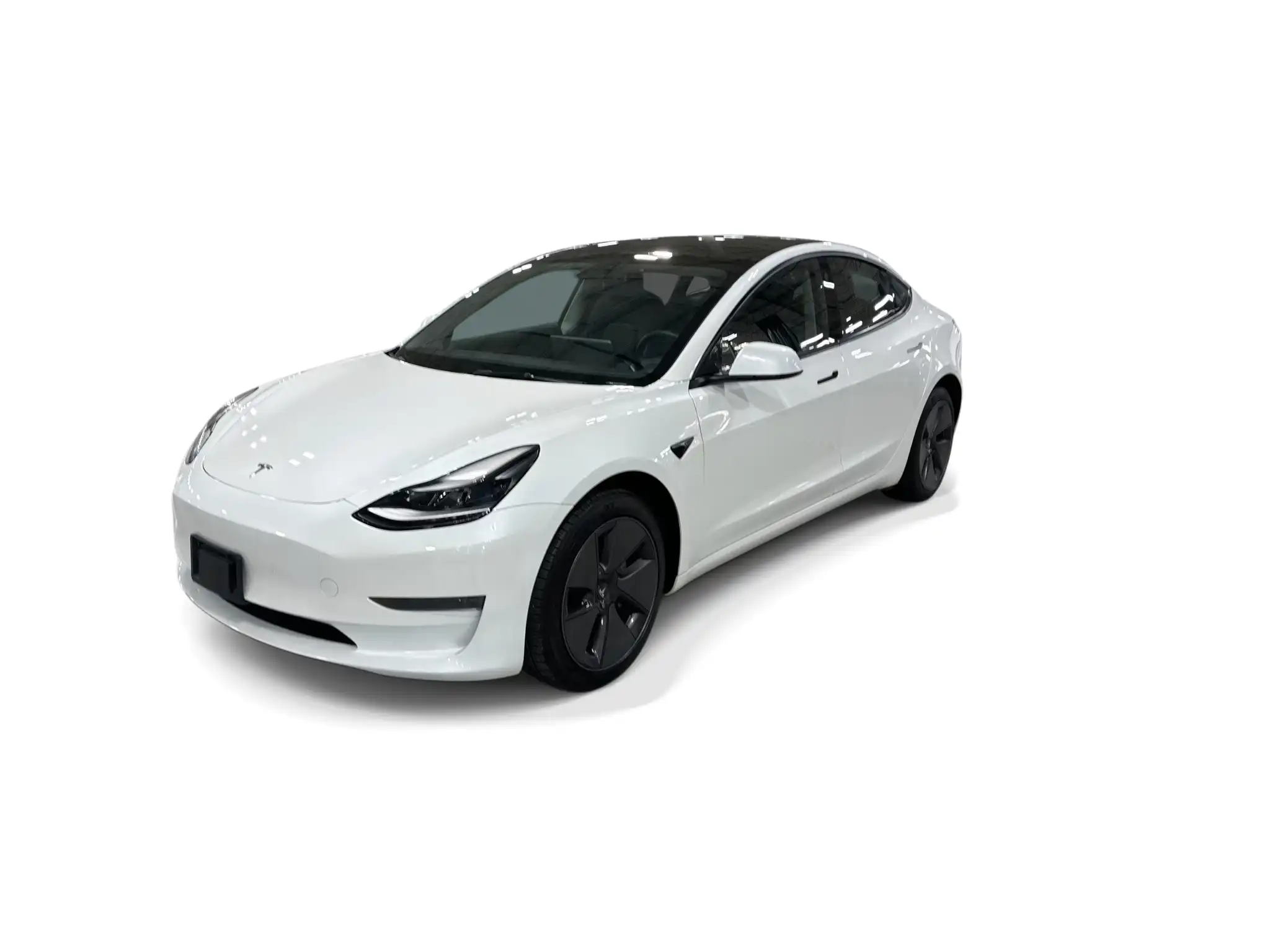 2023 Tesla Model 3 Base's photo