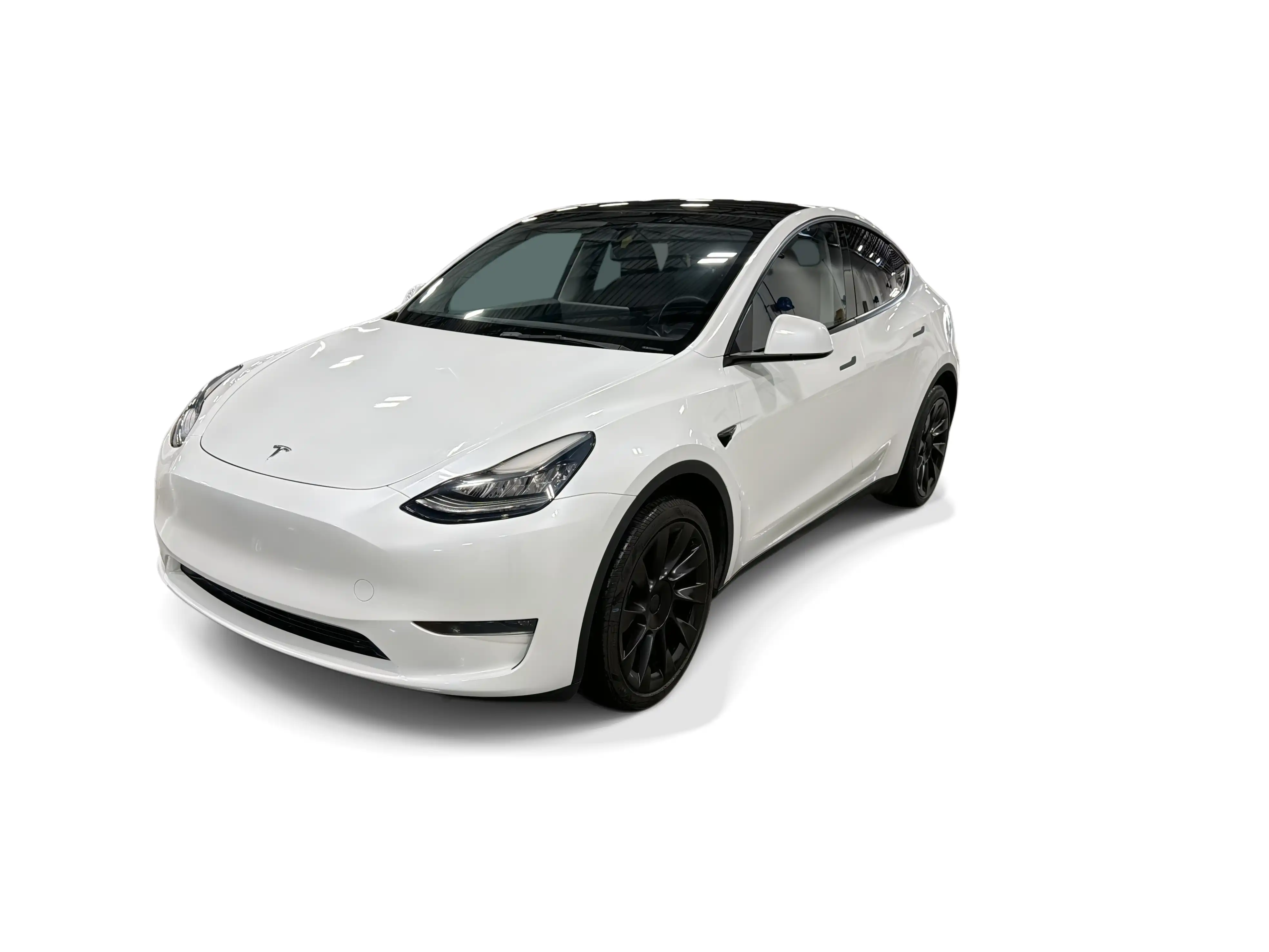 2023 Tesla Model Y Long Range Dual Motor All-Wheel Drive's photo