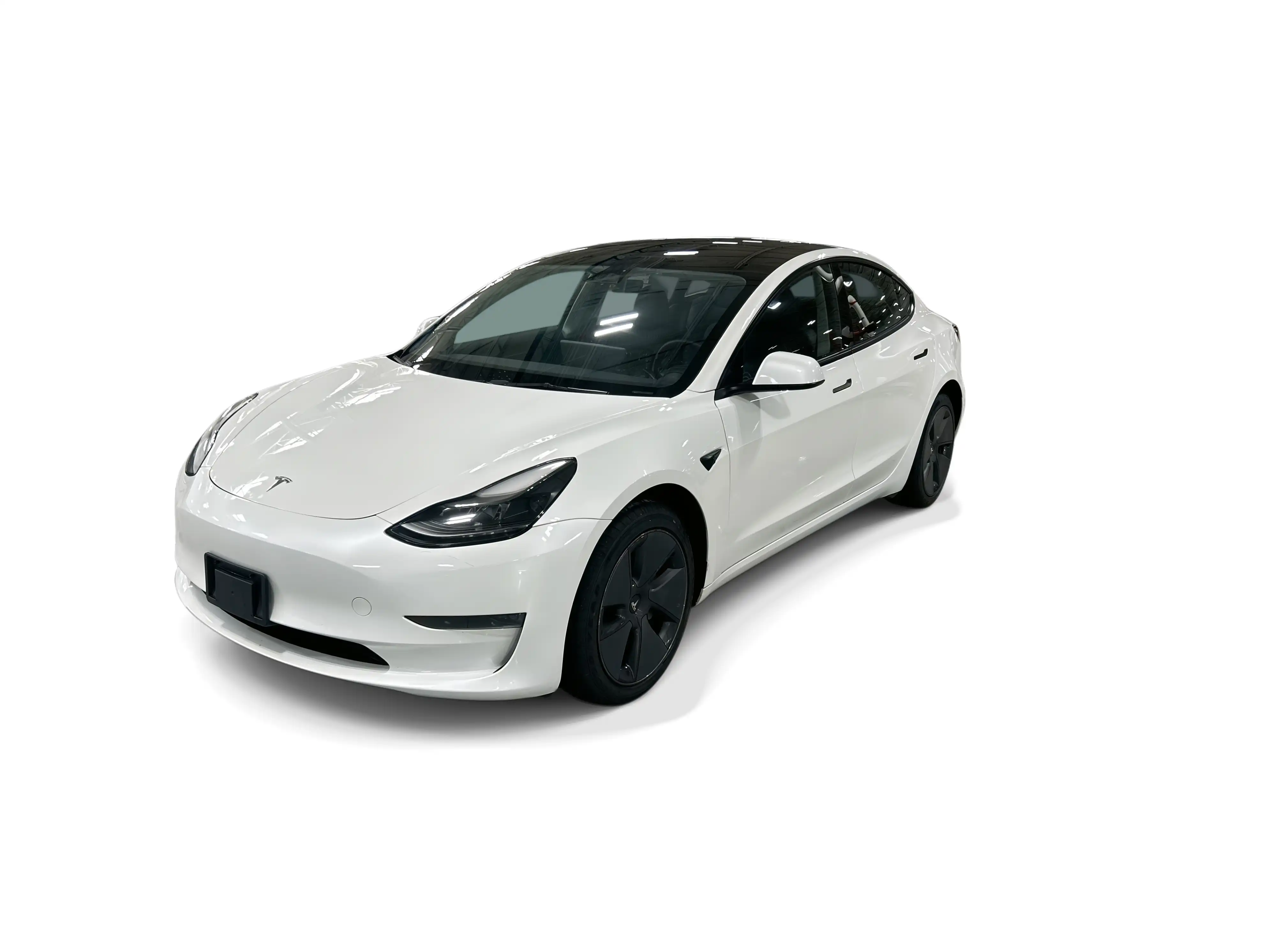 2023 Tesla Model 3 Base's photo