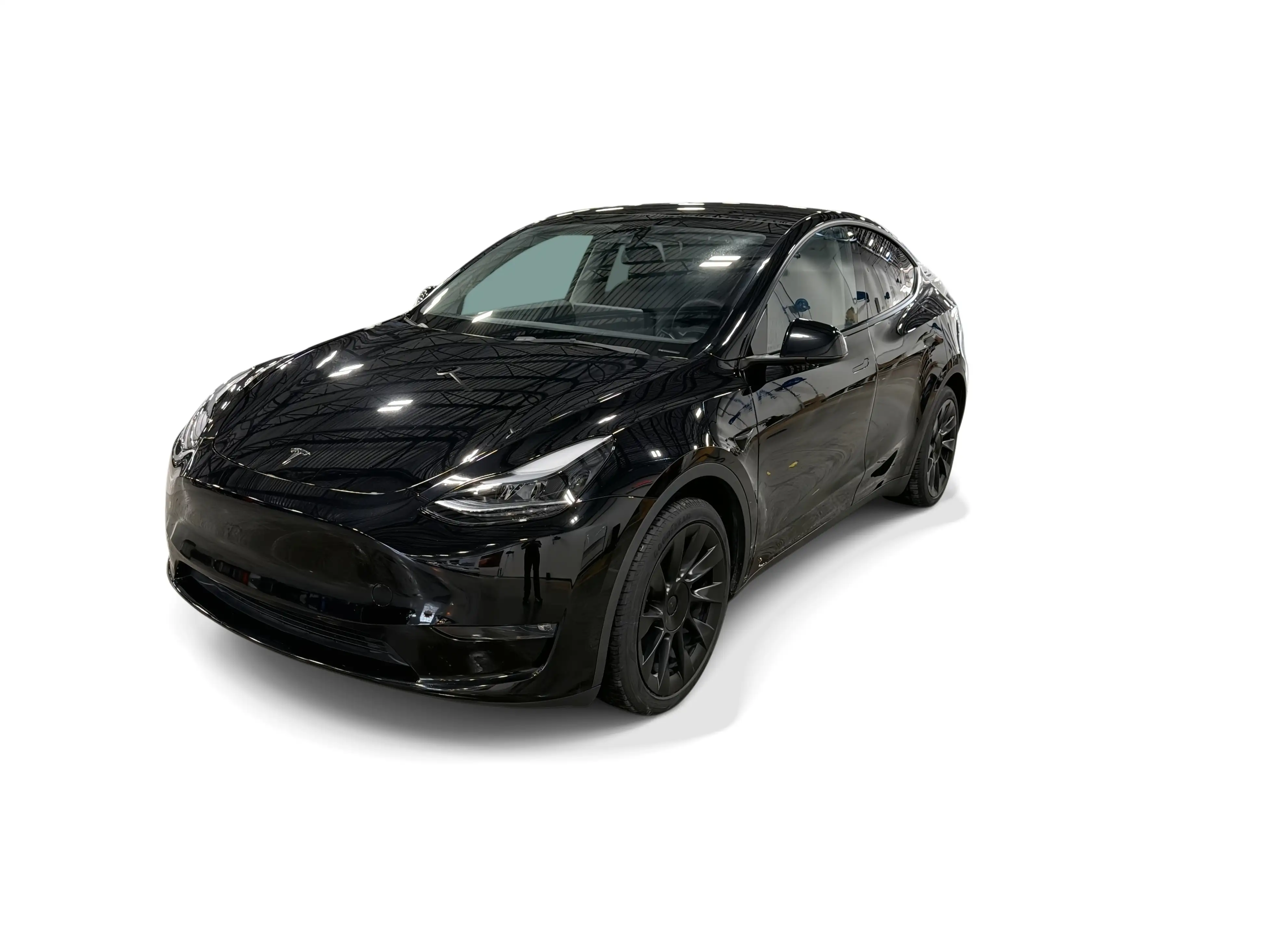 2023 Tesla Model Y Long Range Dual Motor All-Wheel Drive's photo