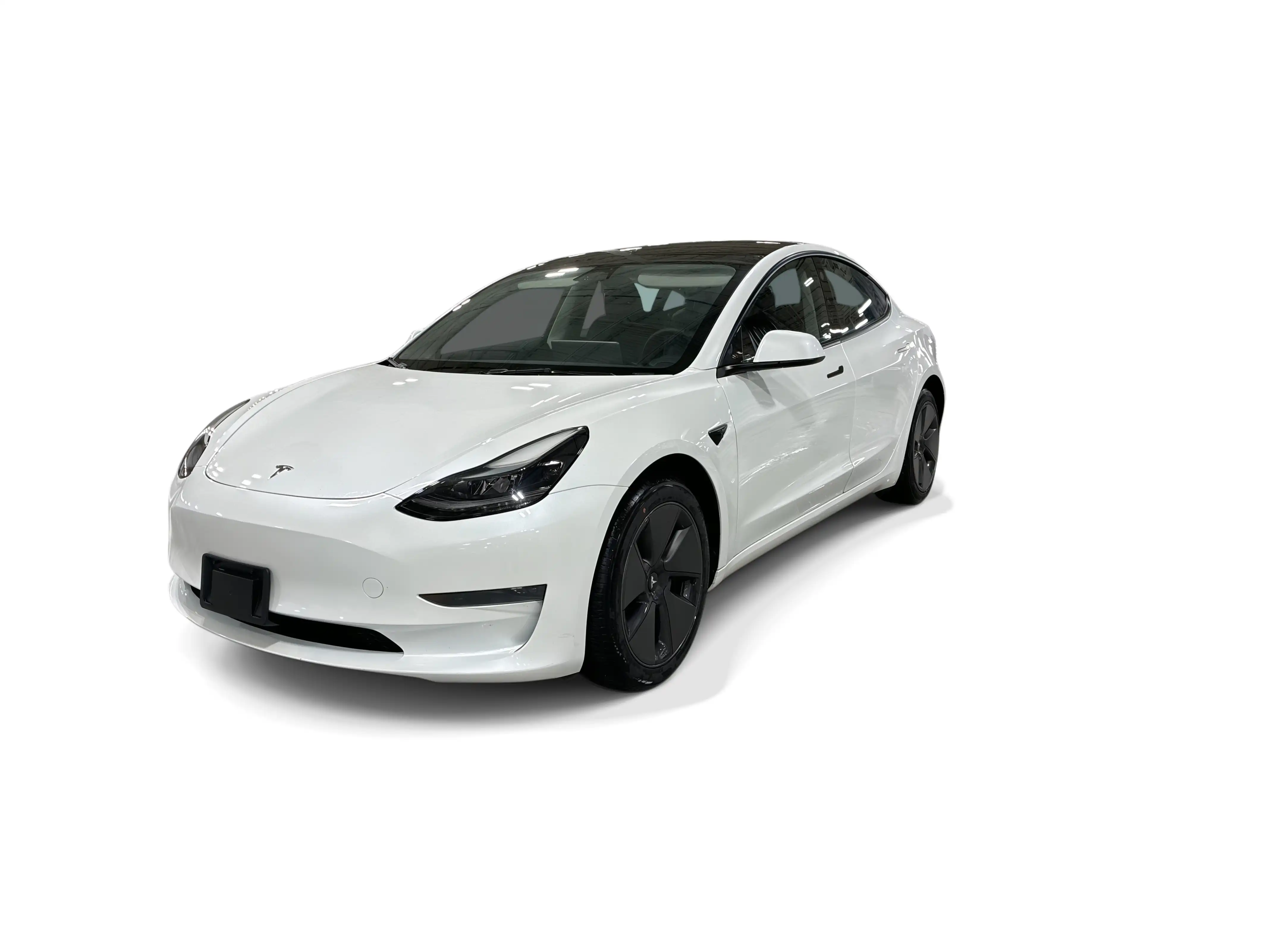 2023 Tesla Model 3 Base's photo