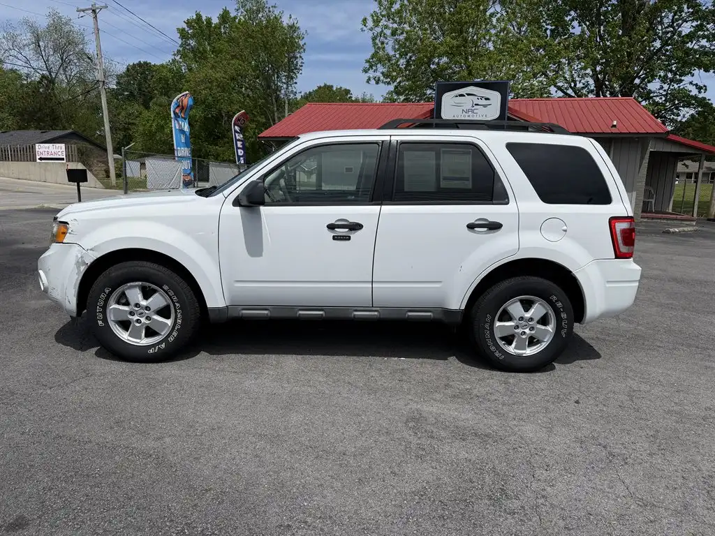 2011 Ford Escape XLT 4WD's photo