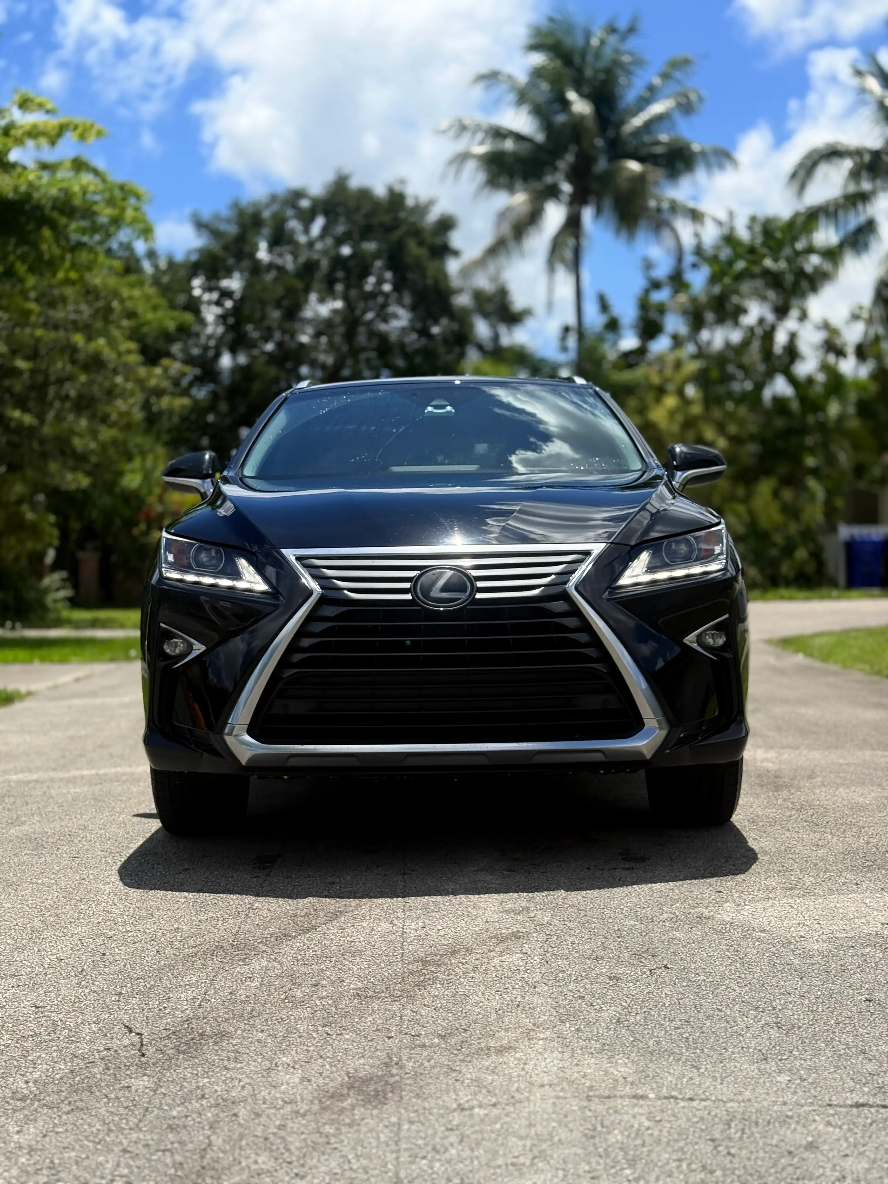 2017 Lexus RX 350 350 4x2's photo