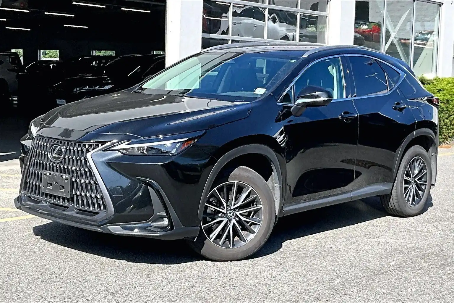 2025 Lexus NX 250 Signature's photo