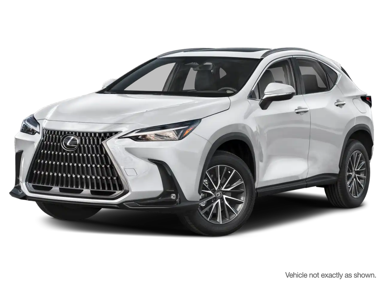 2025 Lexus NX 250 Signature's photo