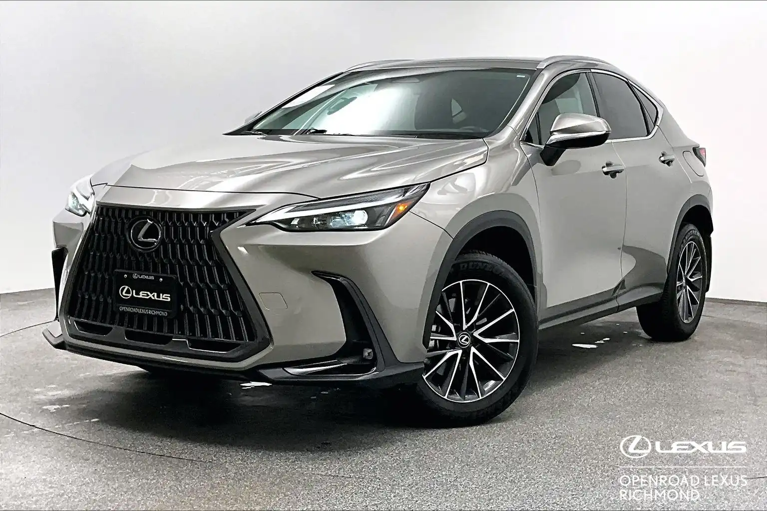 2024 Lexus NX 250 Signature's photo