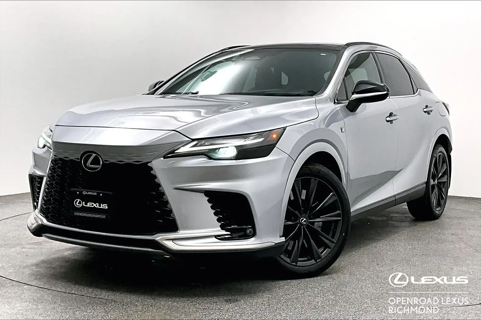 2023 Lexus RX 350 Premium photo 1