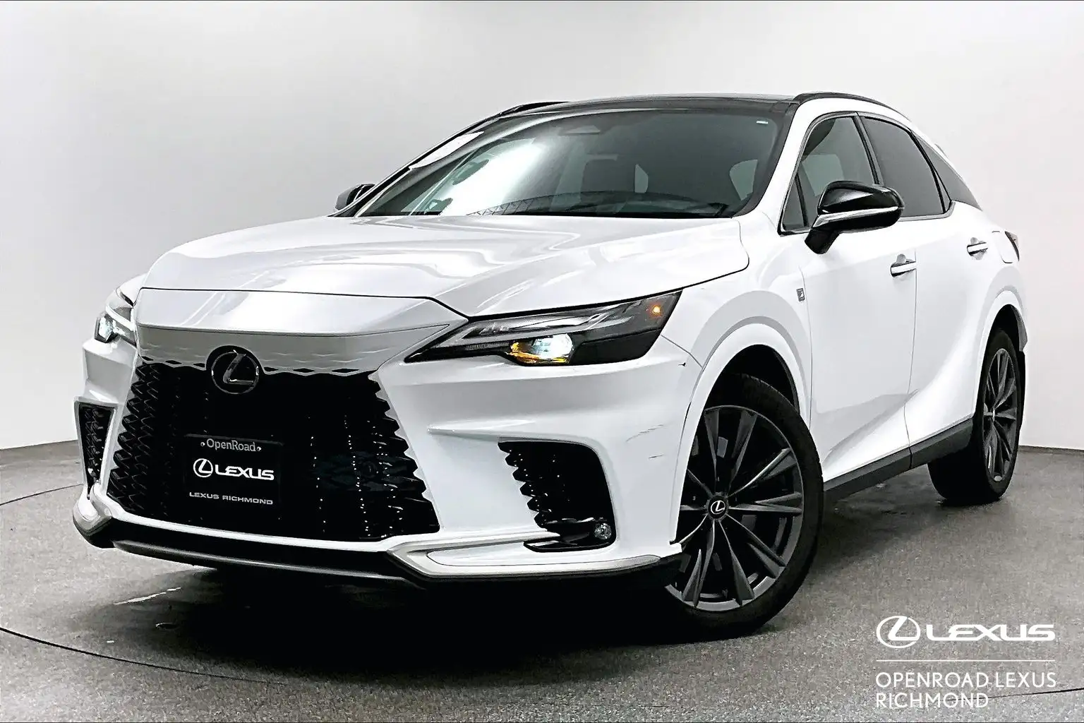 2024 Lexus RX 350 Premium's photo