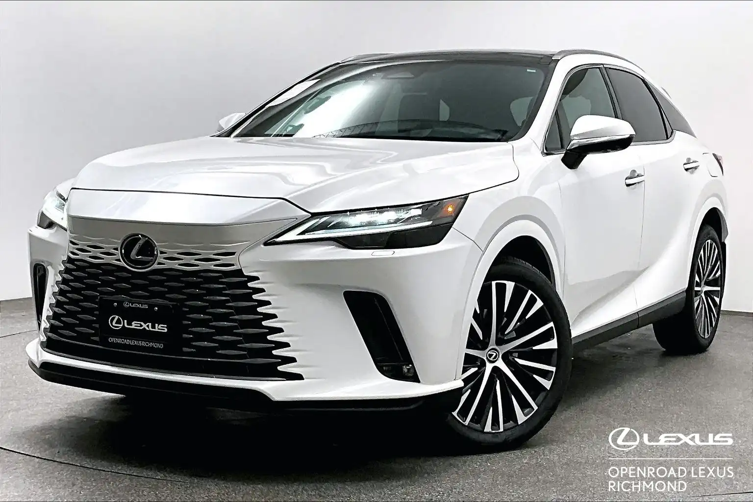 2023 Lexus RX 350h Premium's photo