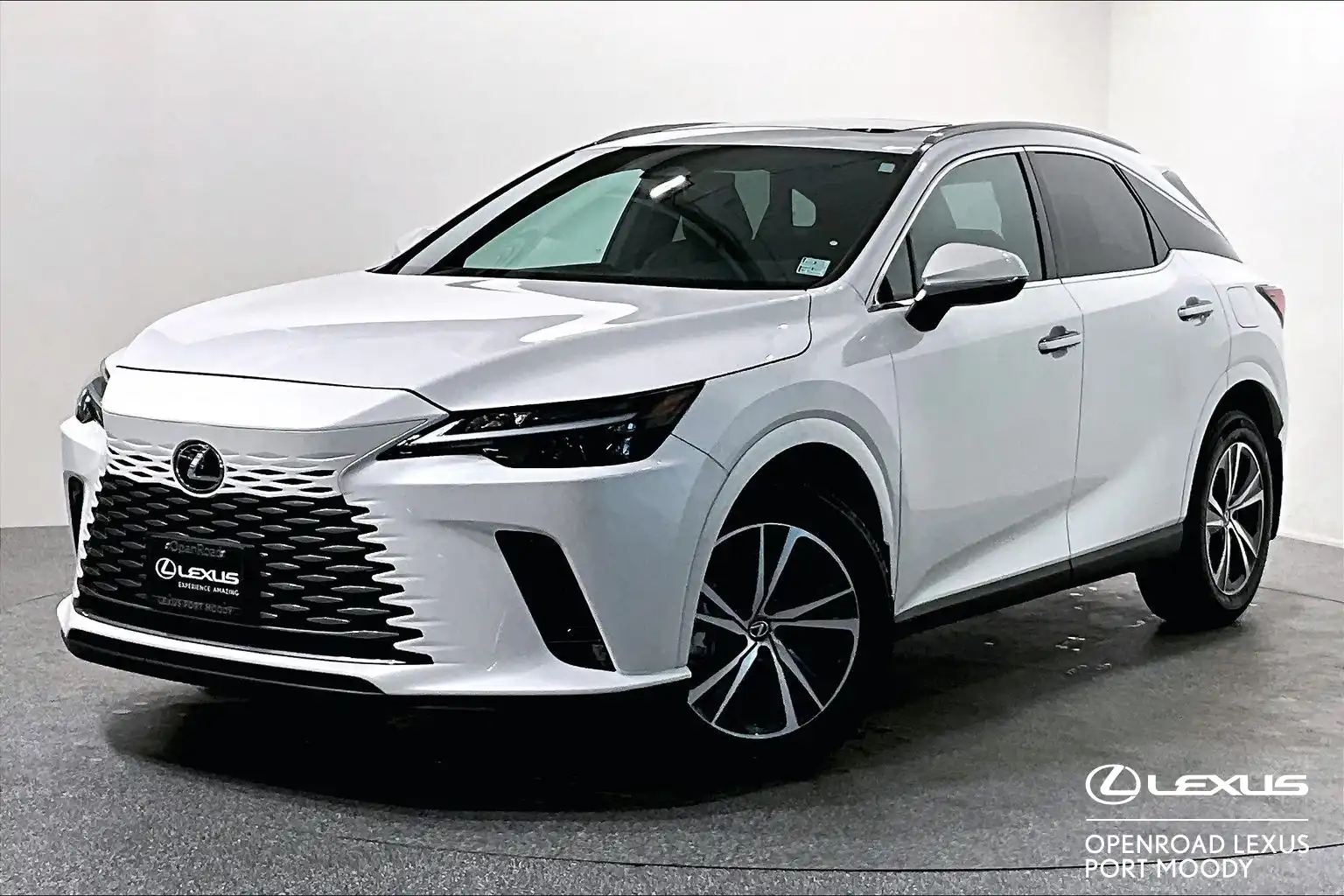 2023 Lexus RX 350h Premium's photo