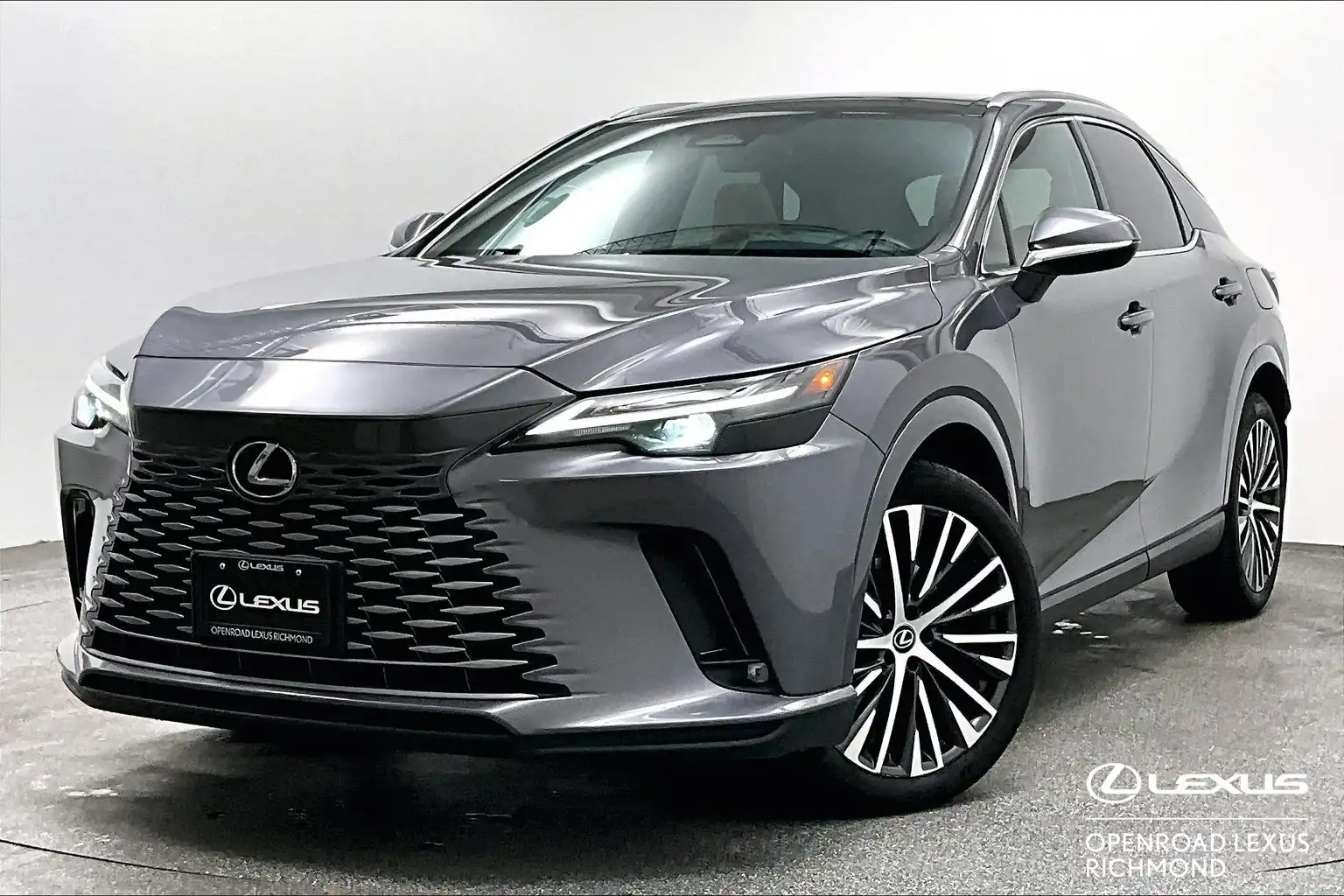 2023 Lexus RX 350h Premium's photo