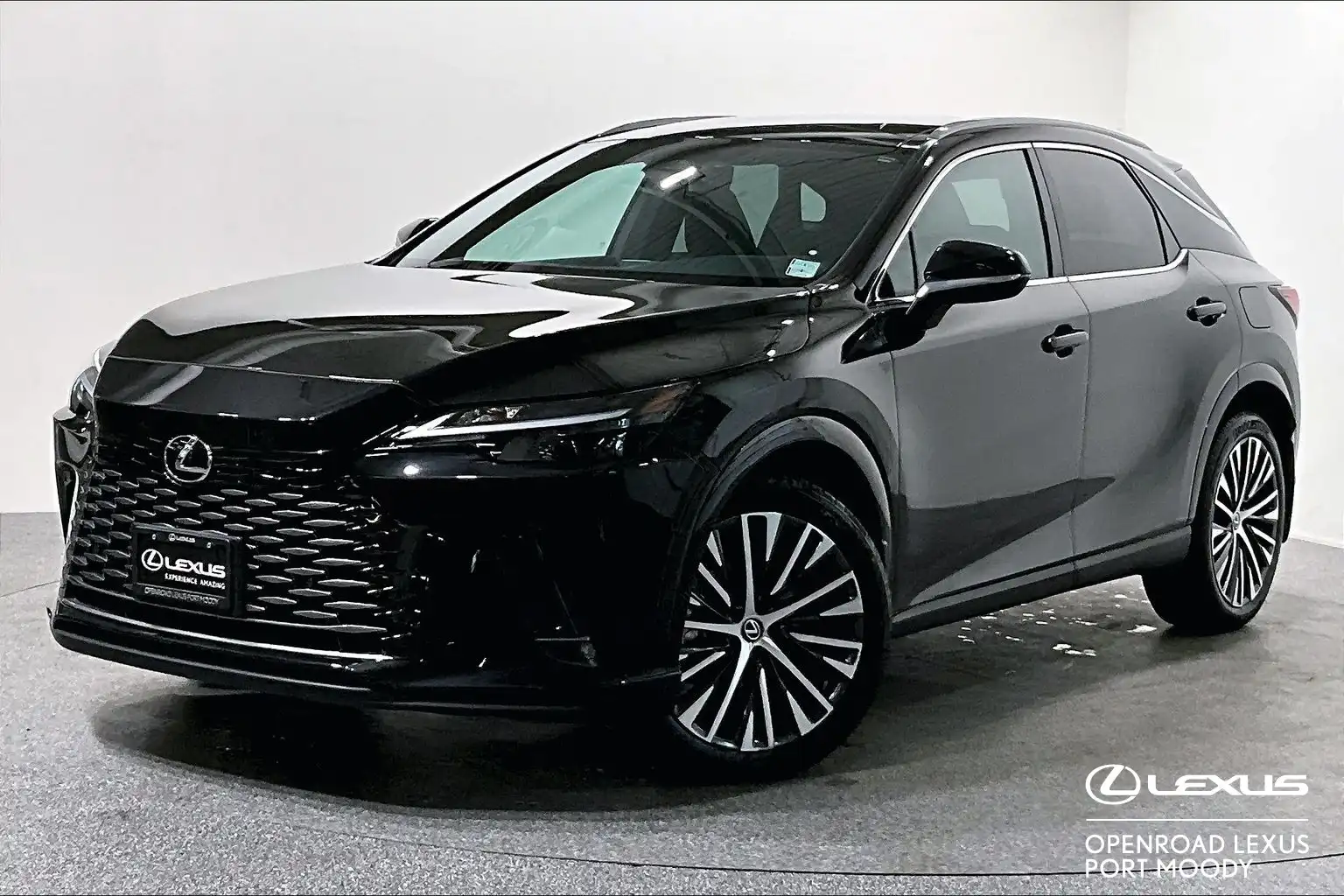 2024 Lexus RX 350h Premium's photo