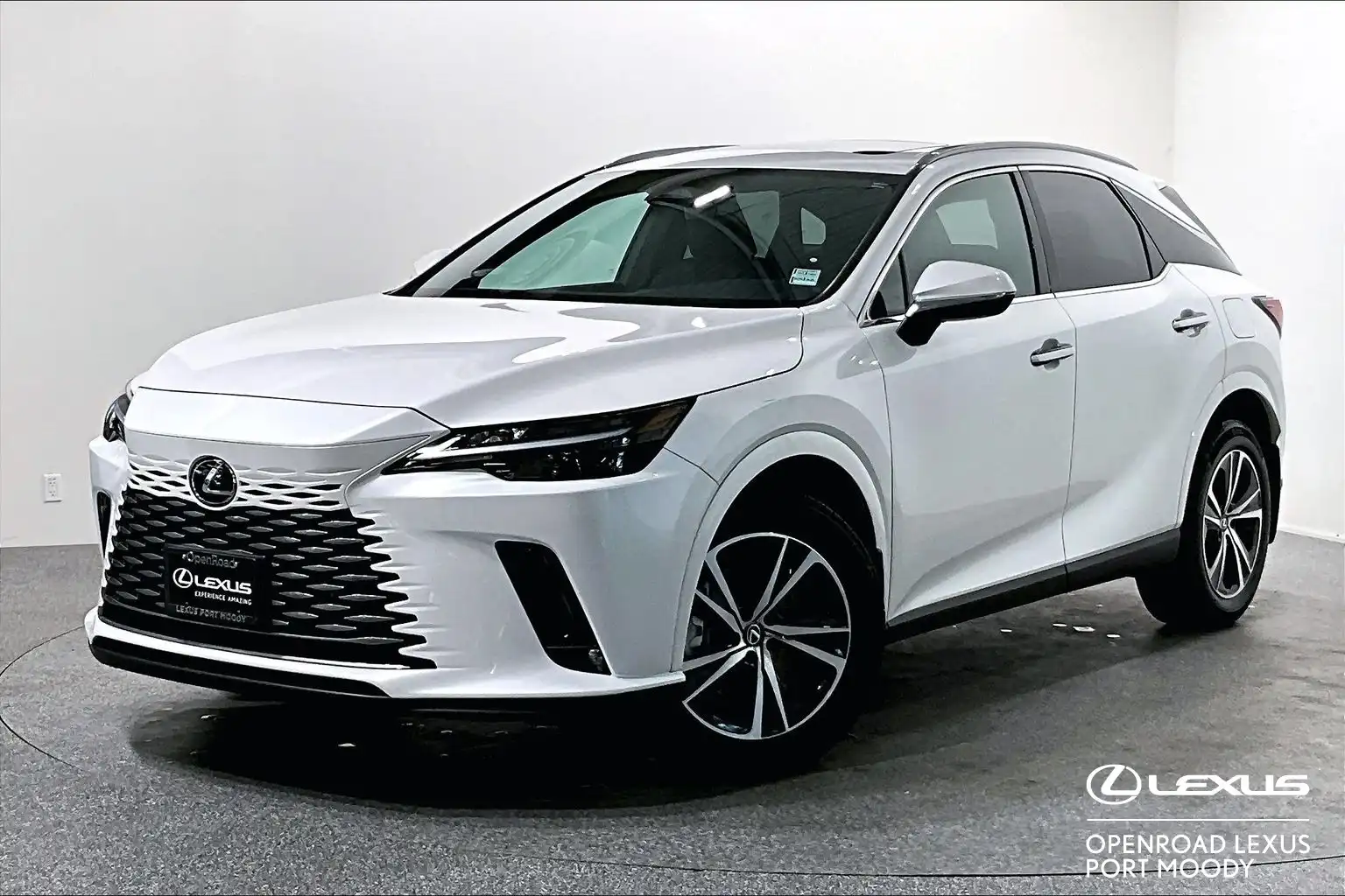2024 Lexus RX 350h Premium's photo
