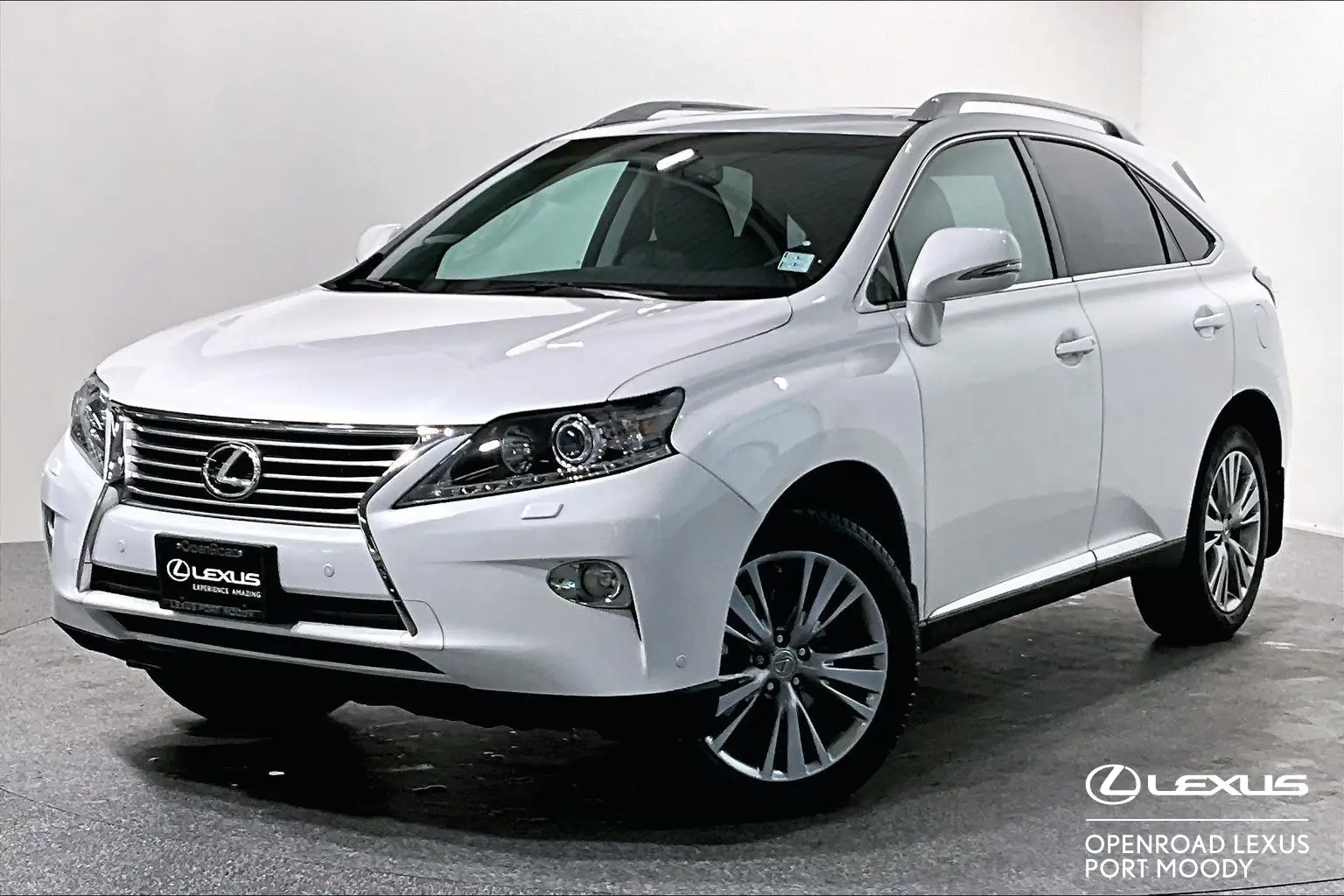 2013 Lexus RX 350 undefined photo 1