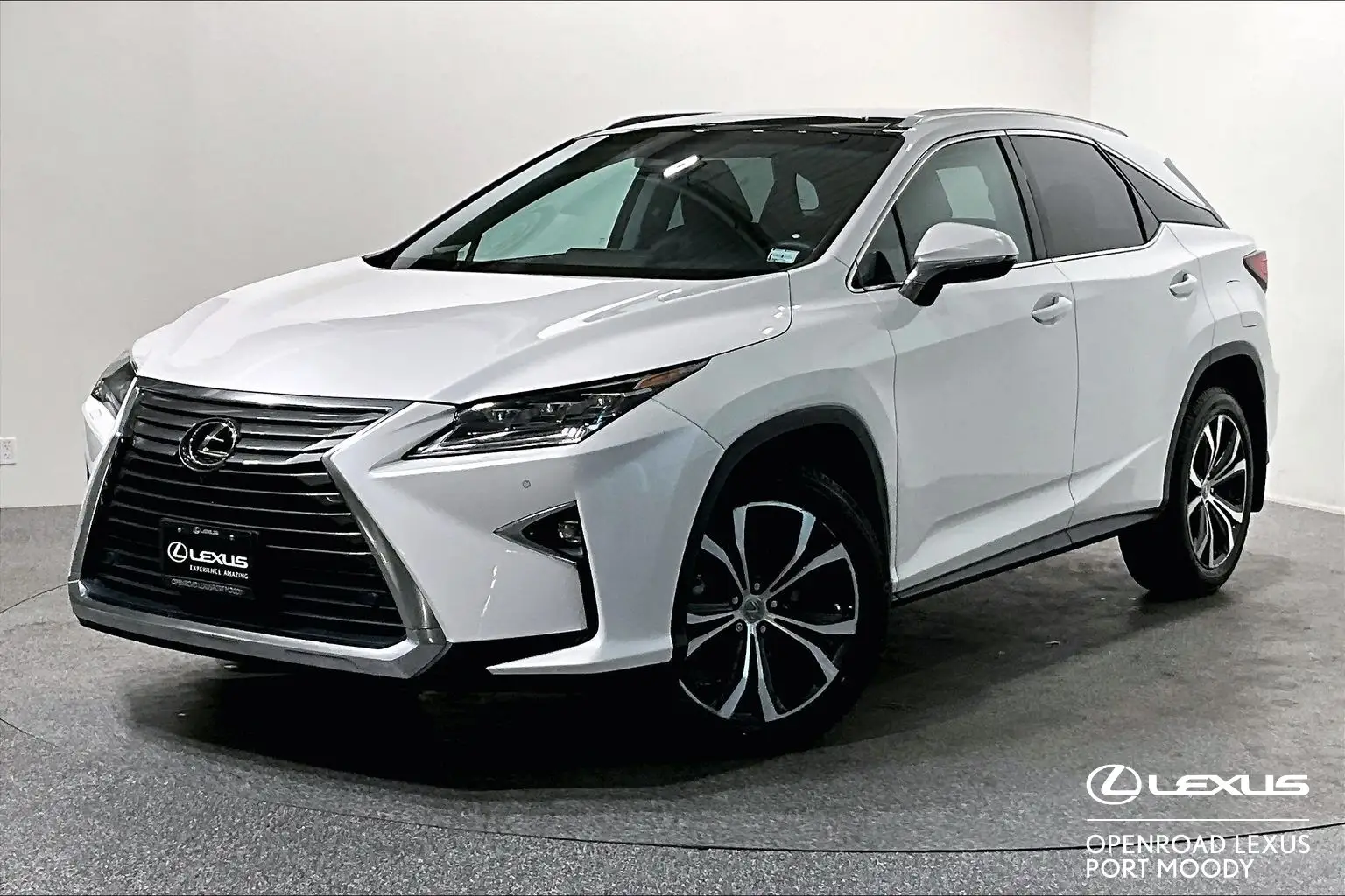2016 Lexus RX 350 Base photo 1