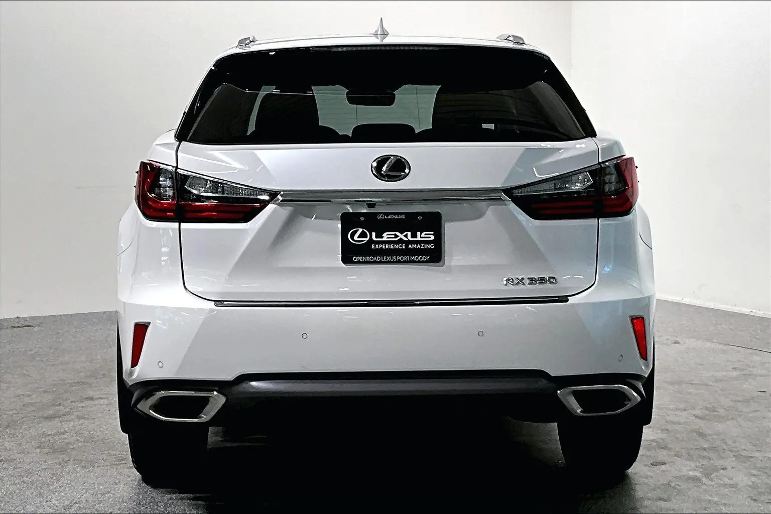 2016 Lexus RX 350 Base photo 4