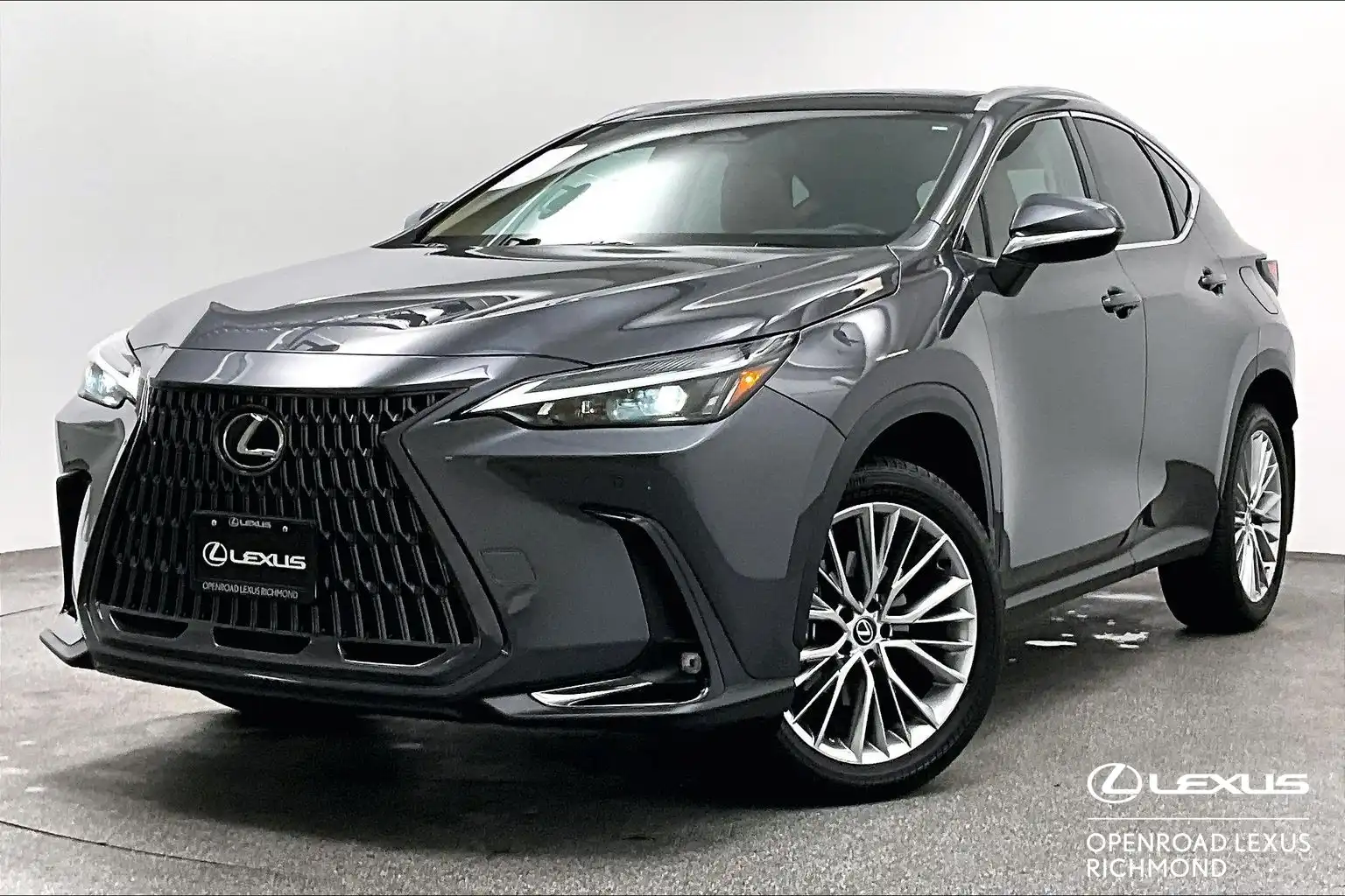 2024 Lexus NX 350 Premium's photo