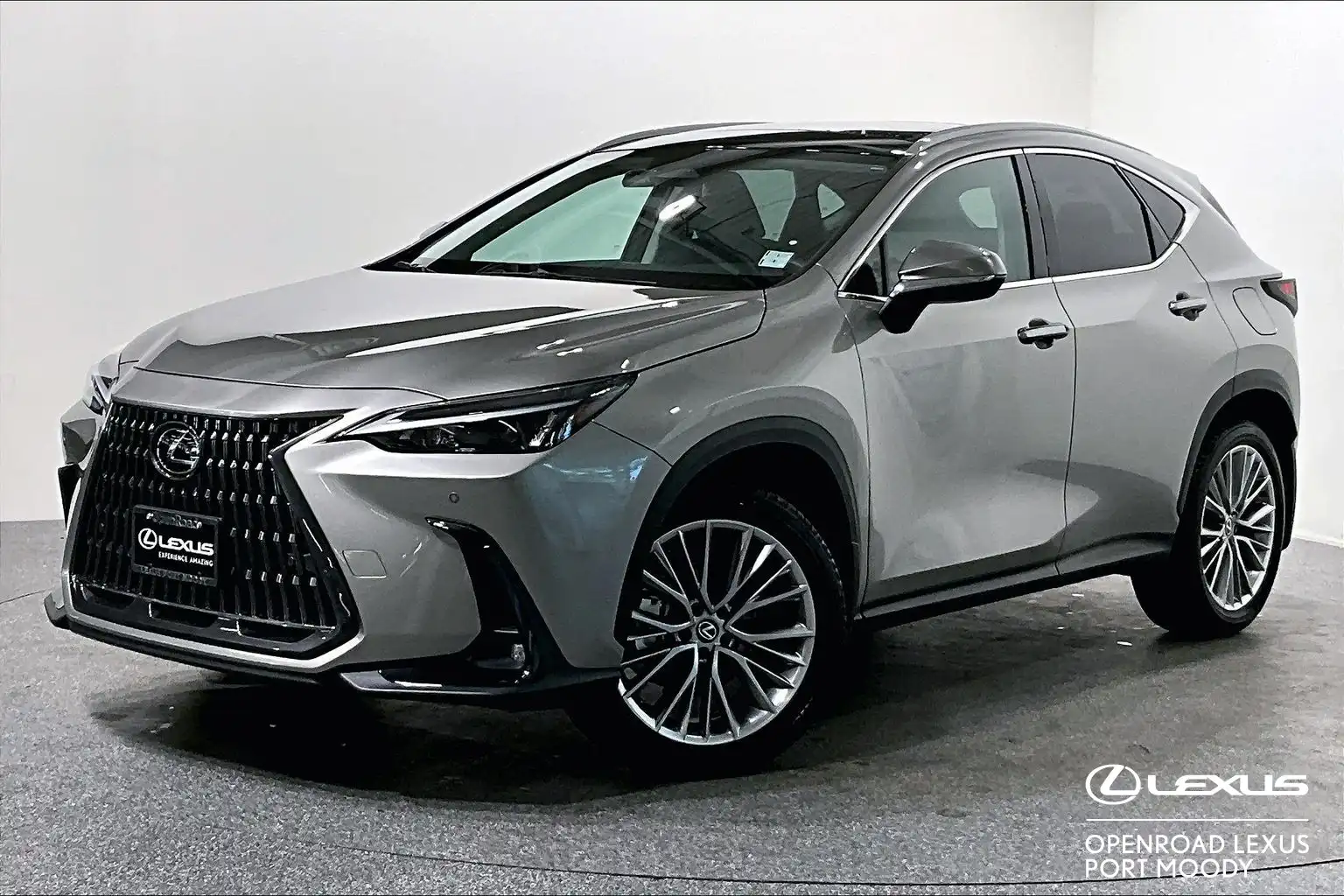 2025 Lexus NX 350h Premium's photo