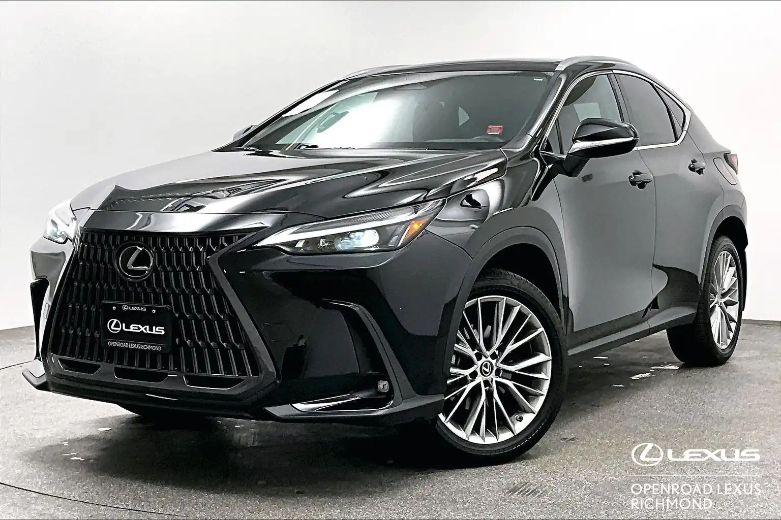 2025 Lexus NX 350h Premium's photo