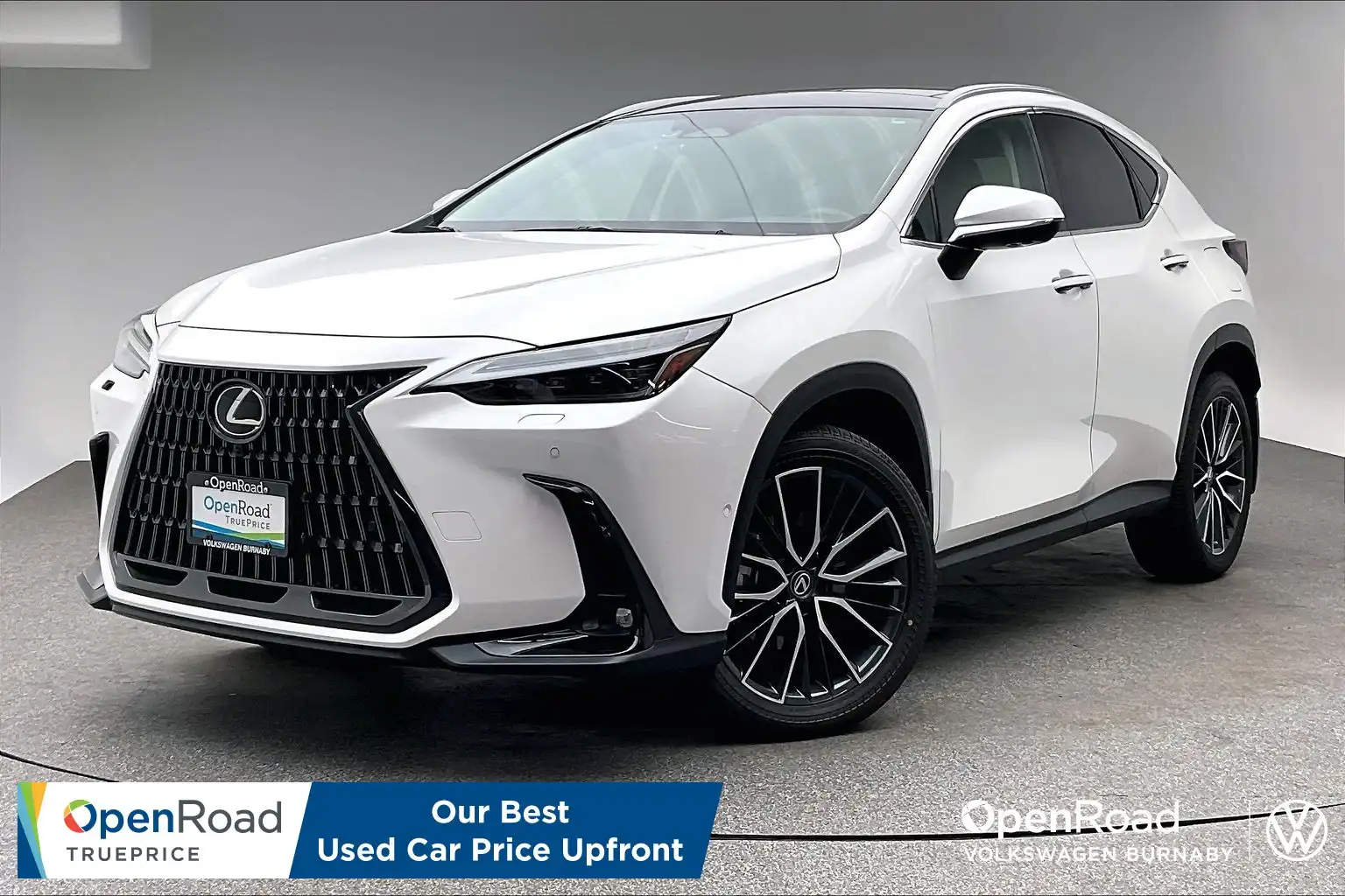 2023 Lexus NX 350h Signature's photo