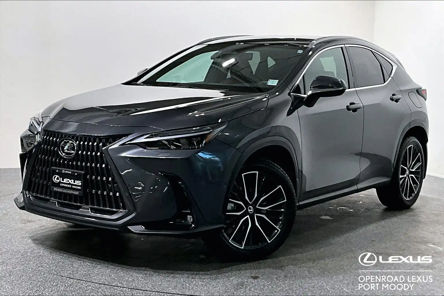 2026 Lexus NX 350h Premium's photo